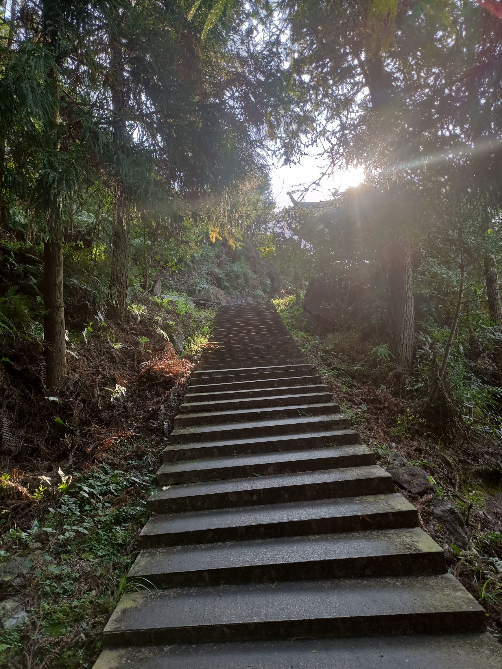 灵山顶景区