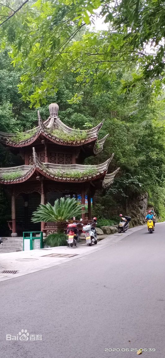 丽水白云国家森林公园