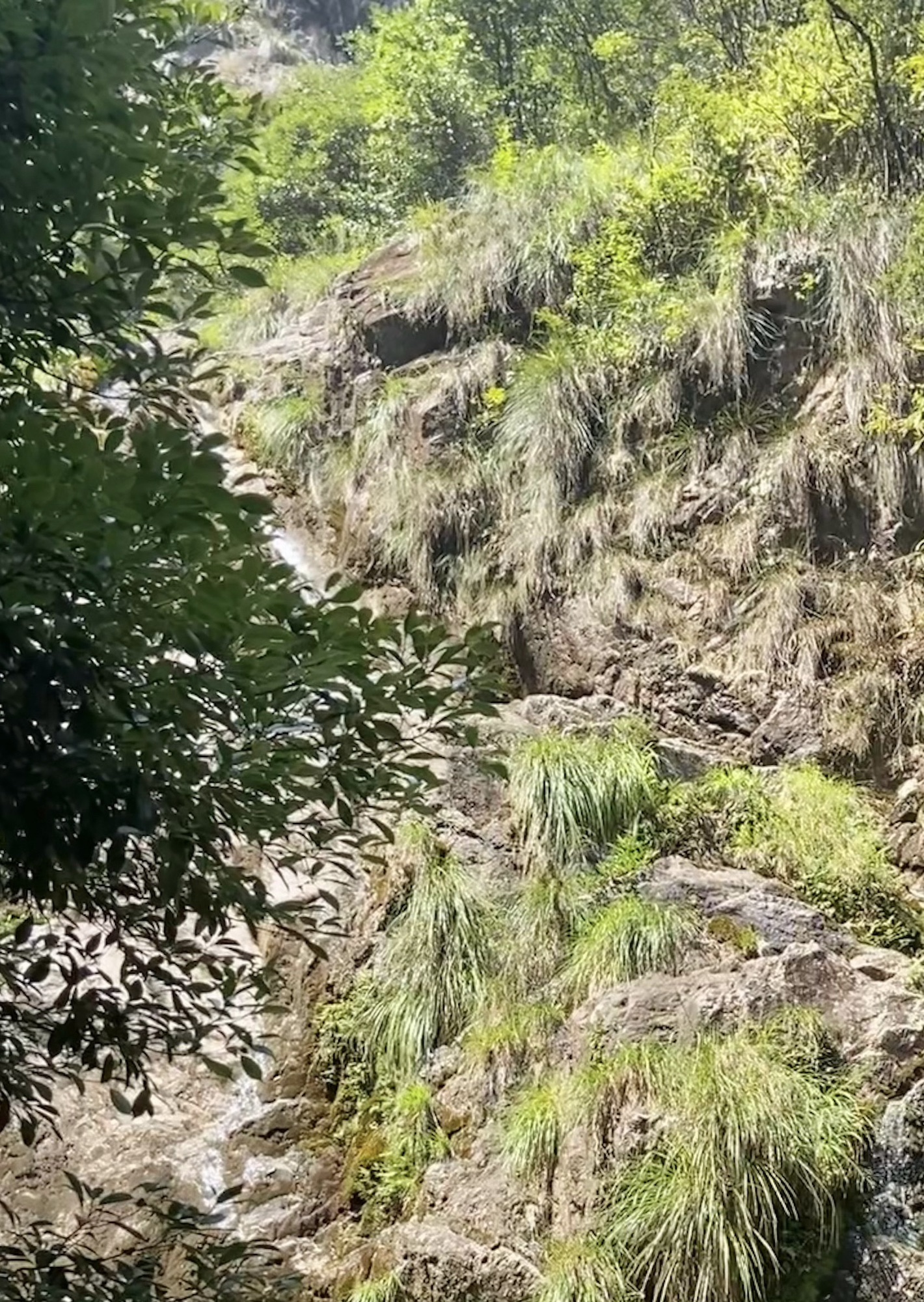 箬寮原始森林