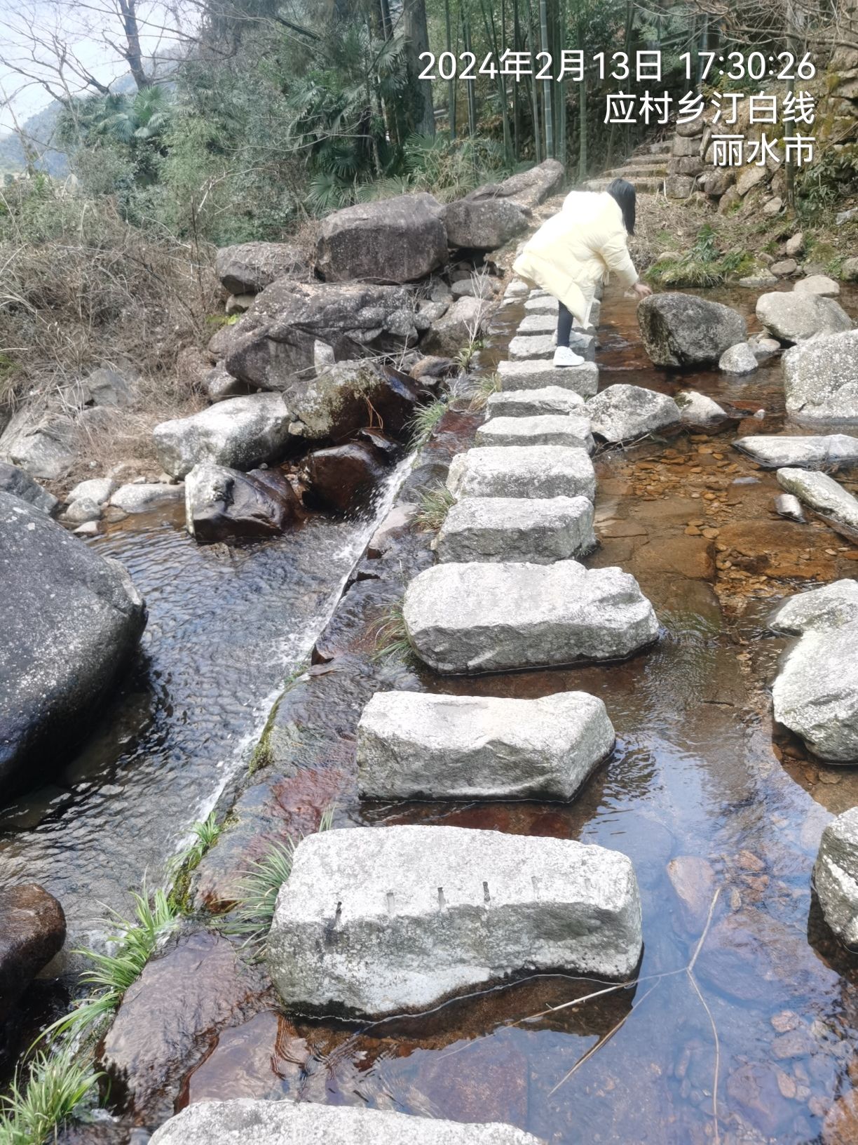 遂昌县白马山森林公园