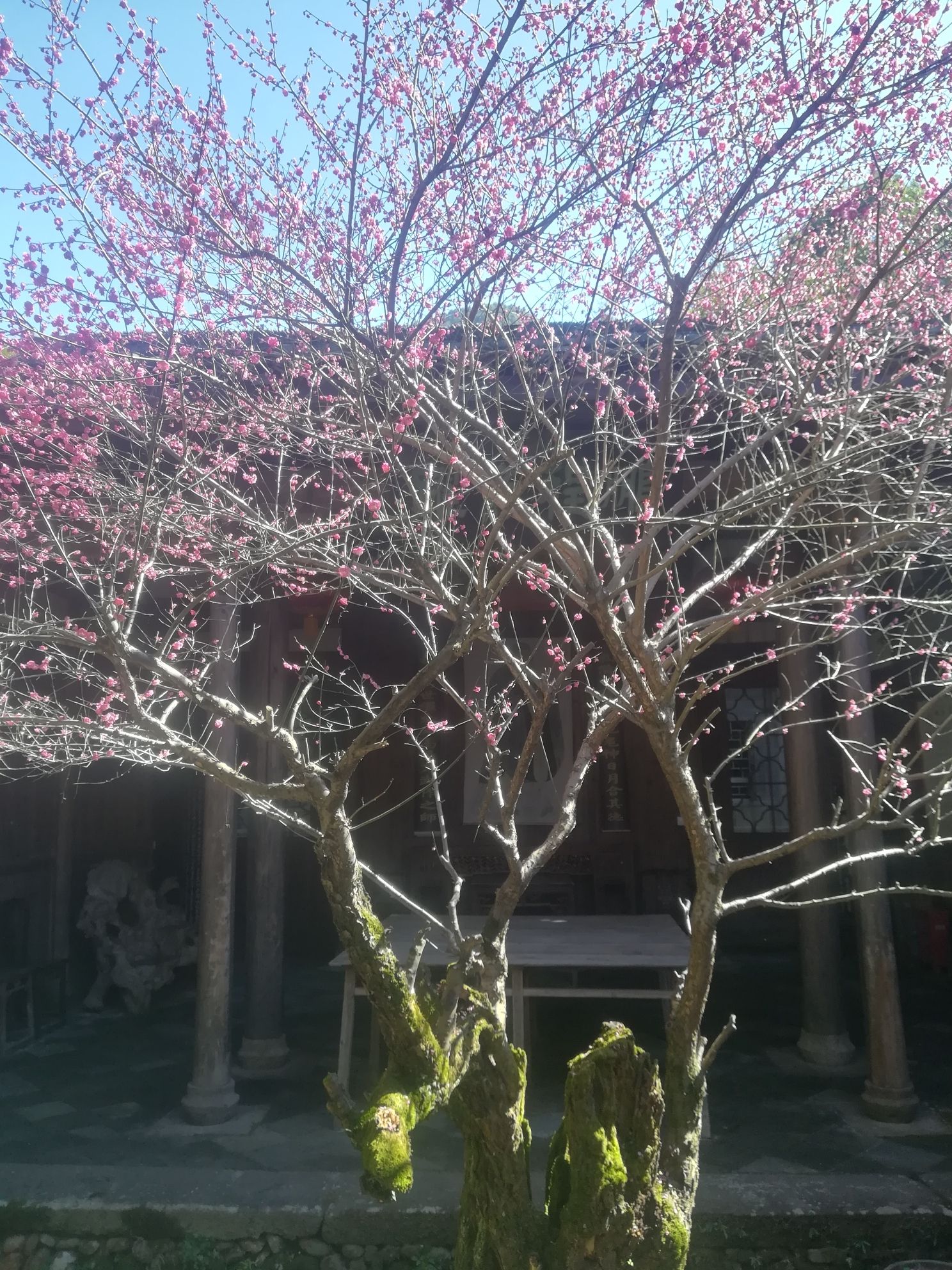 鞍山书院