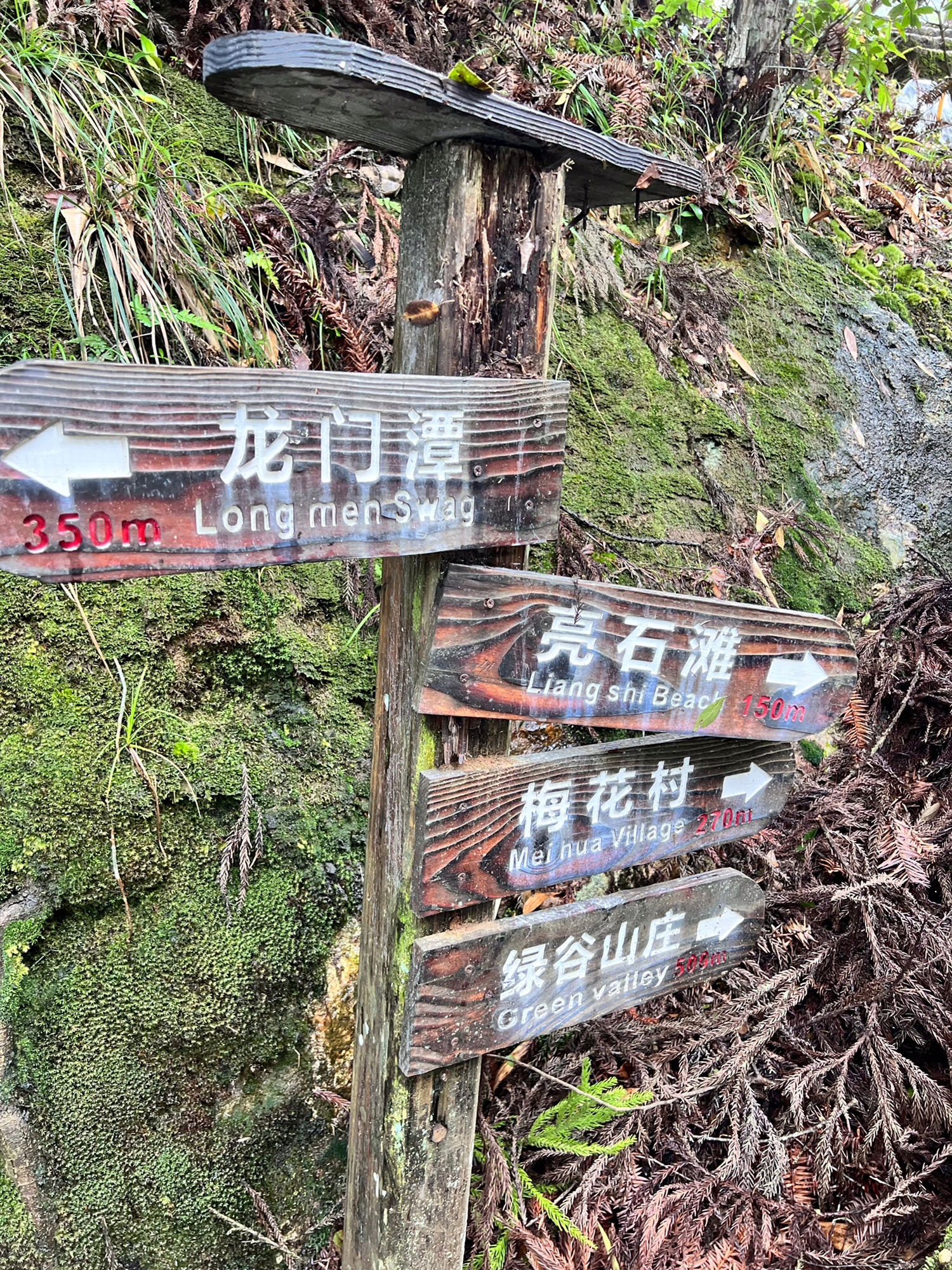 龙泉白云岩