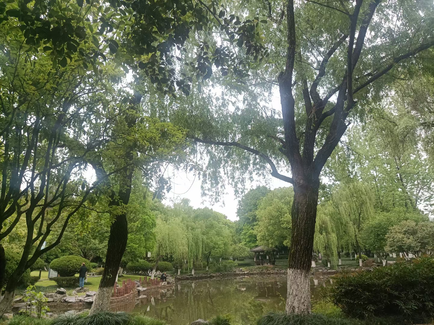 孝子祠公园旅行图片