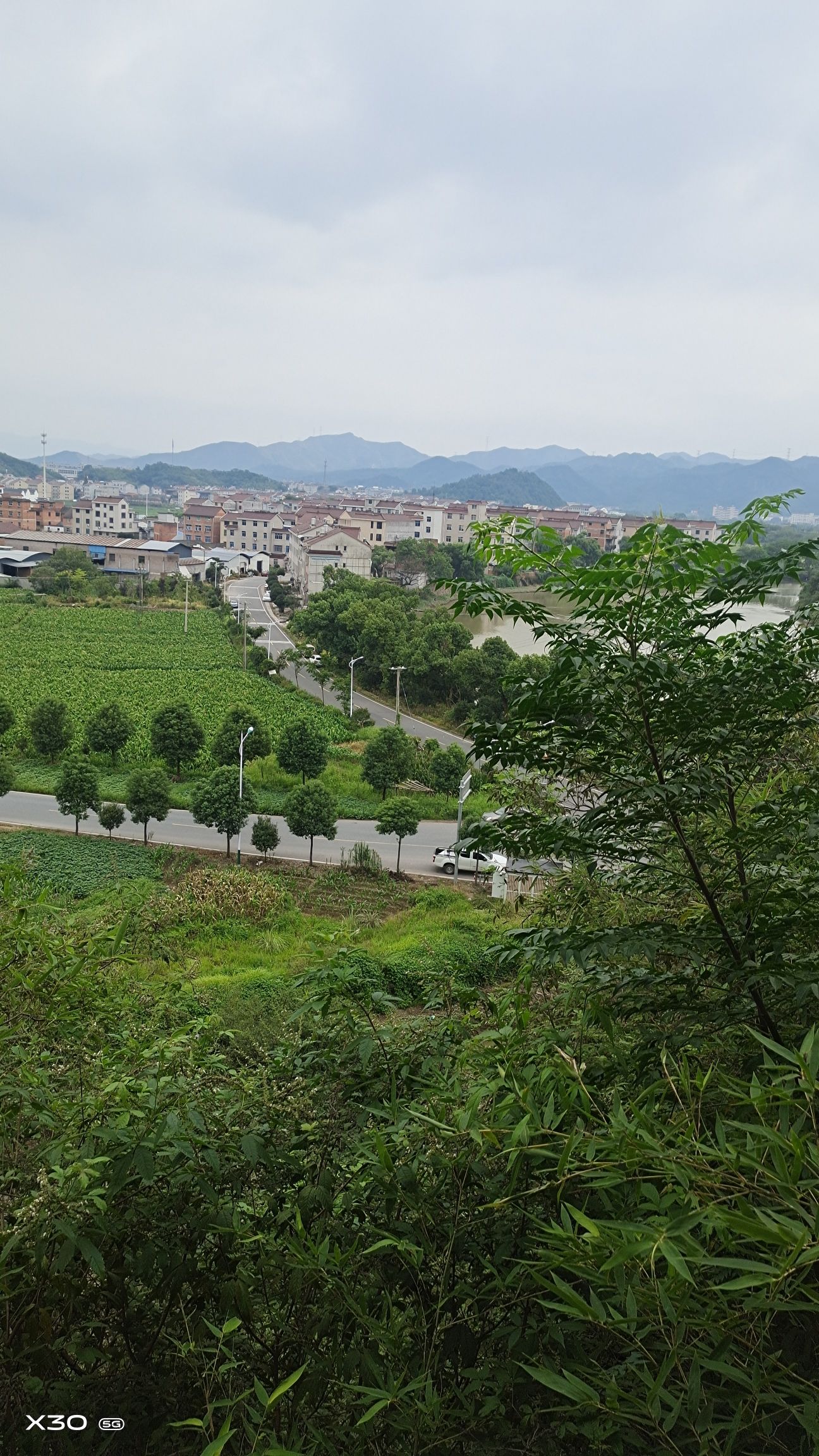 金鸡公园旅行图片