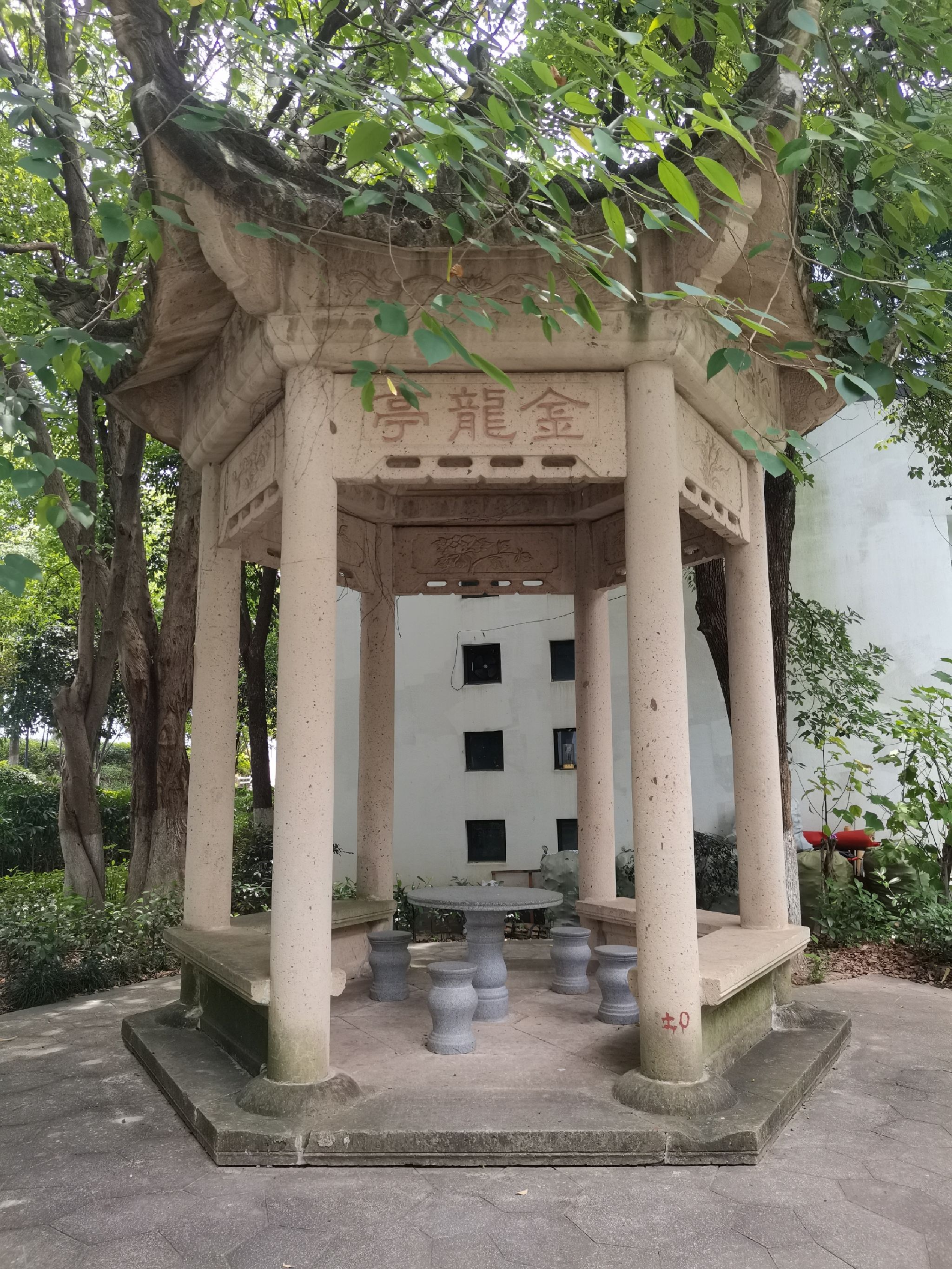 金龙湾公园旅行图片