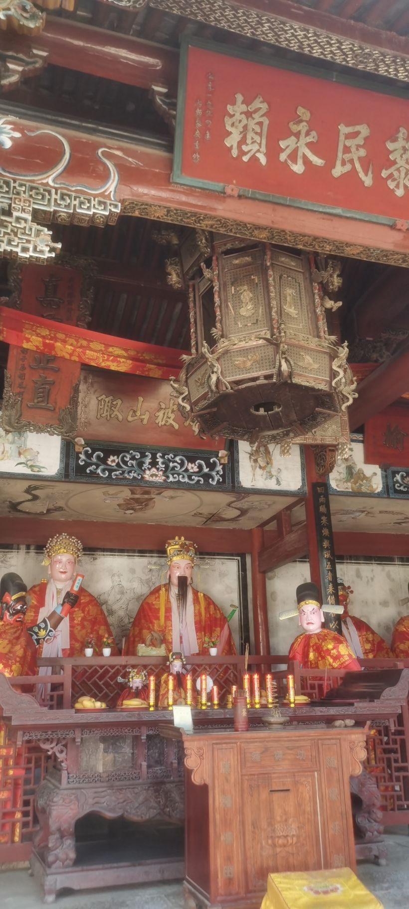玉山古茶场旅行图片