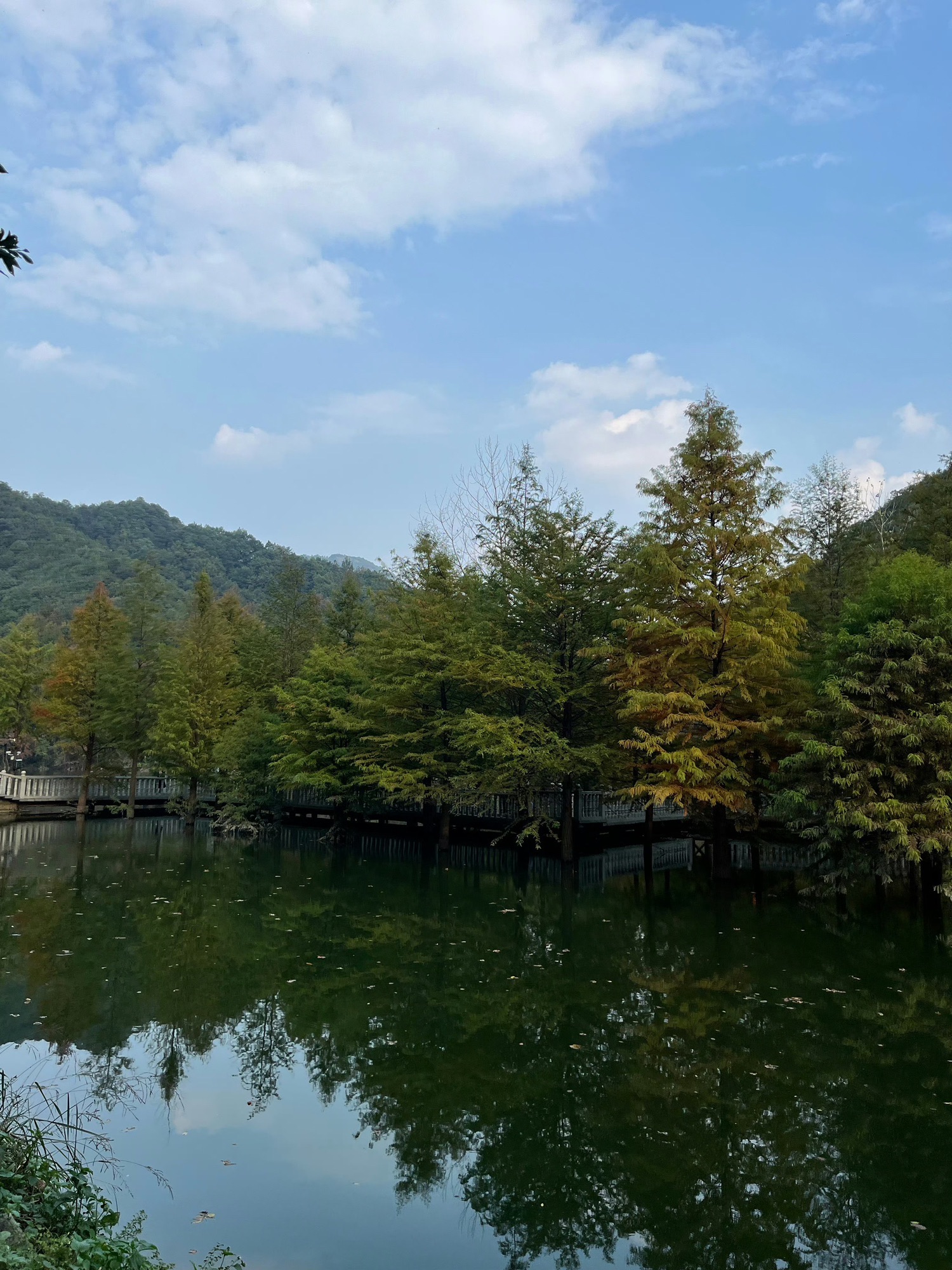 神丽峡风景区旅行图片