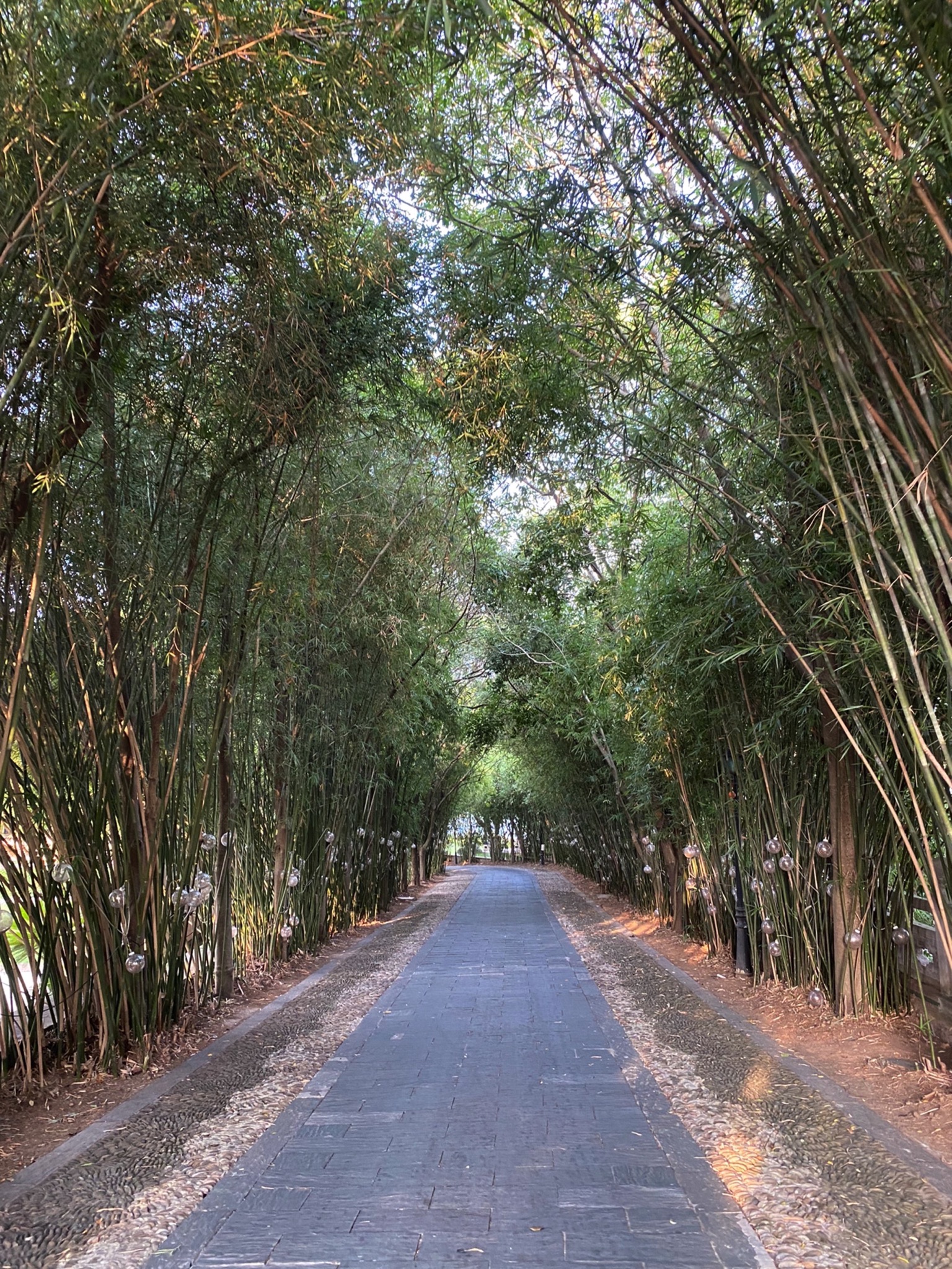 黄宾虹公园旅行图片