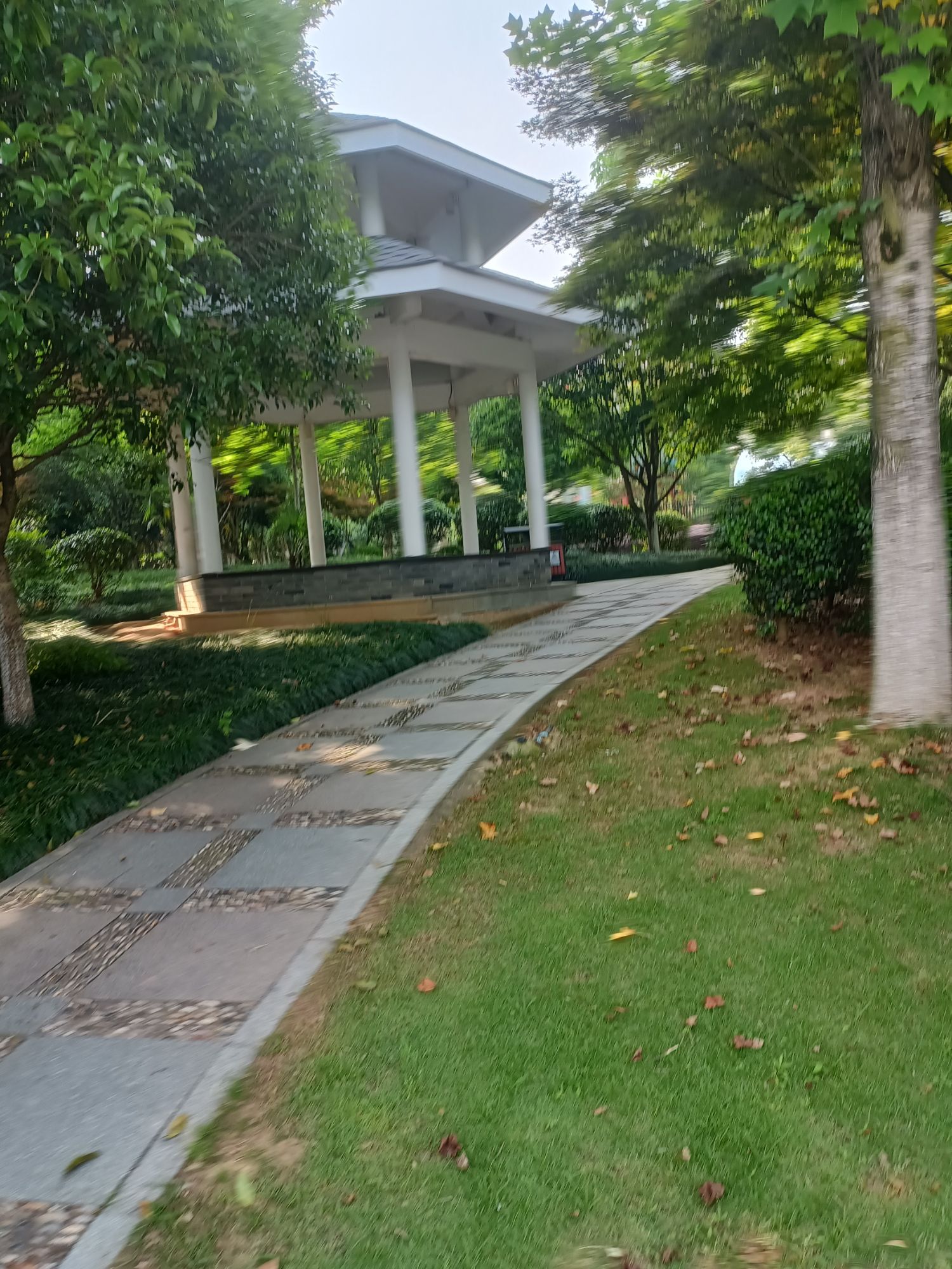 清风公园