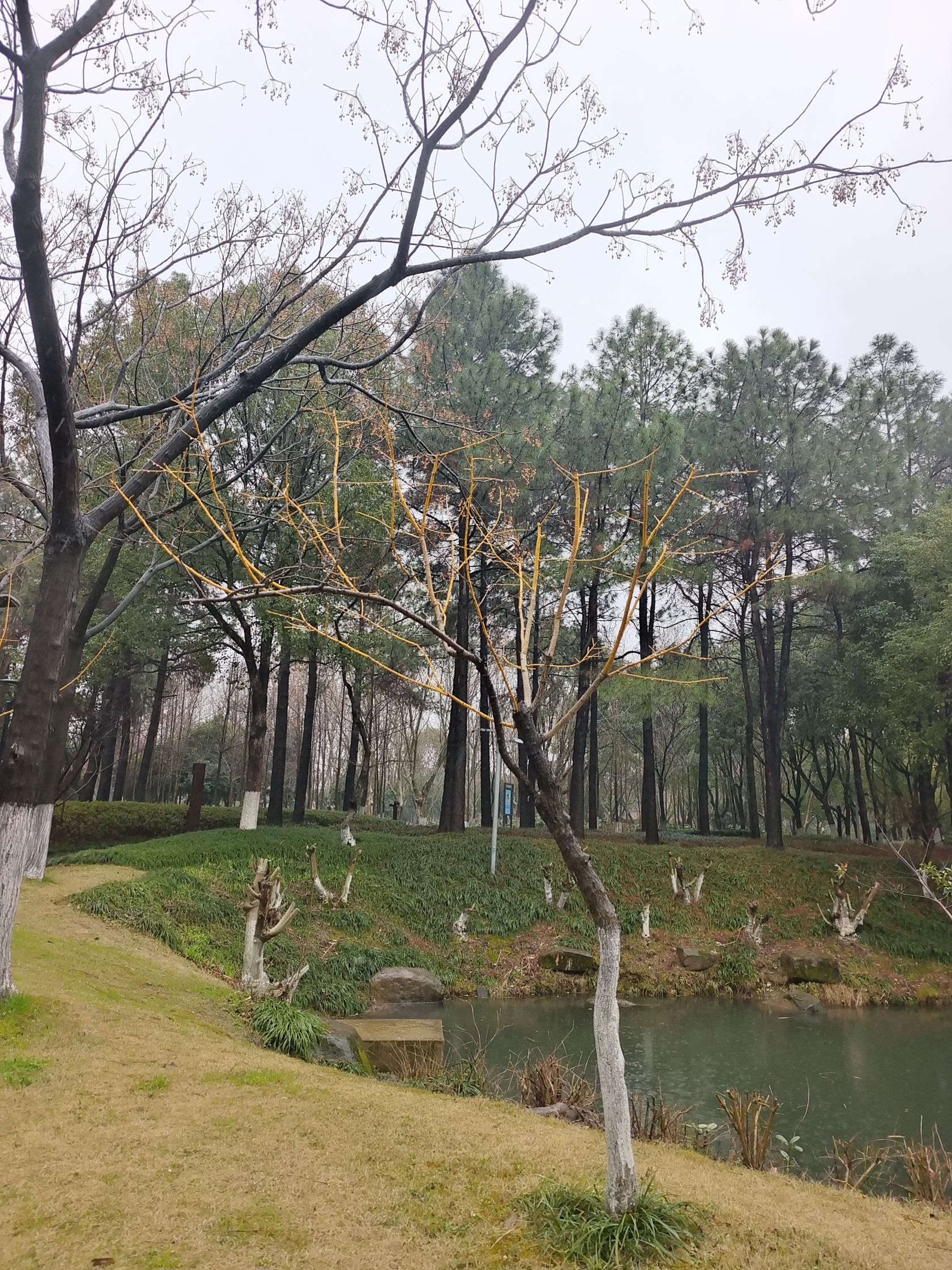 丹溪公园旅行图片
