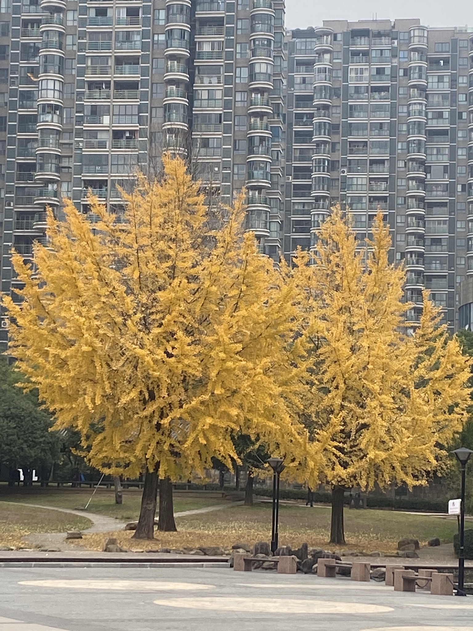 和平公园