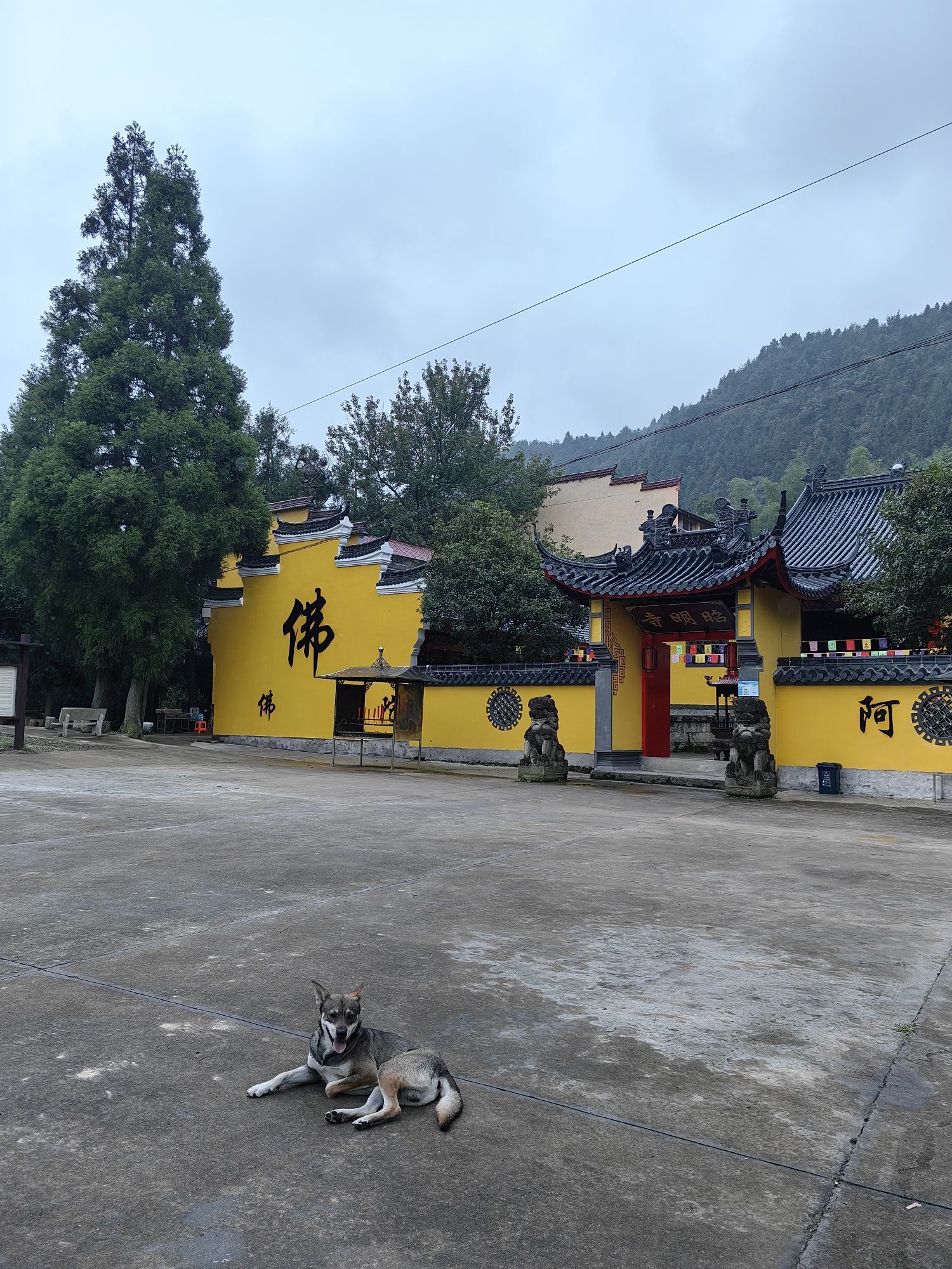 大盘山风景区旅行图片