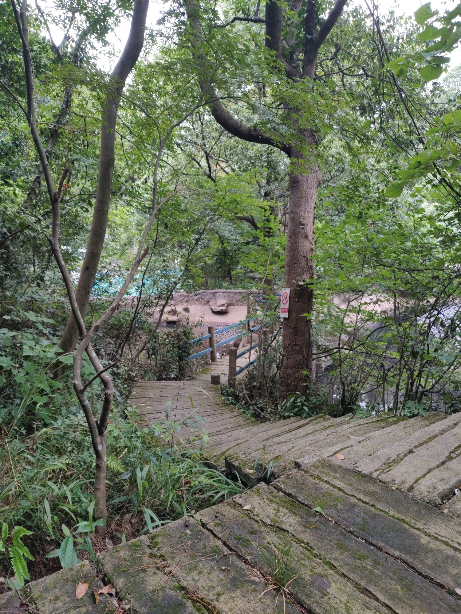 虎踞峡风景区