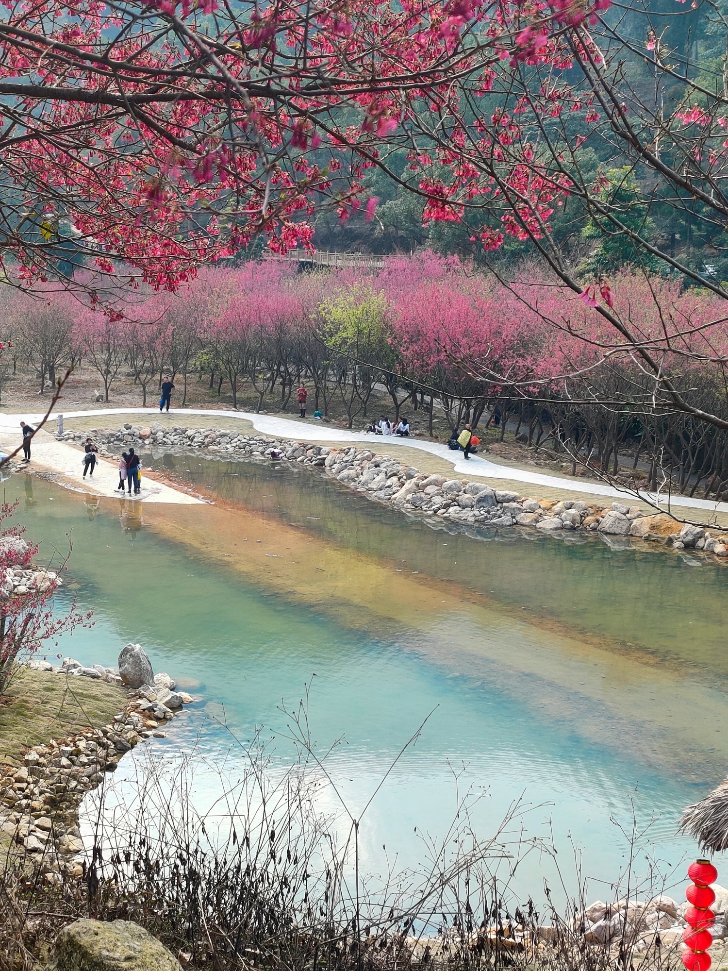 灵石山国家森林公园