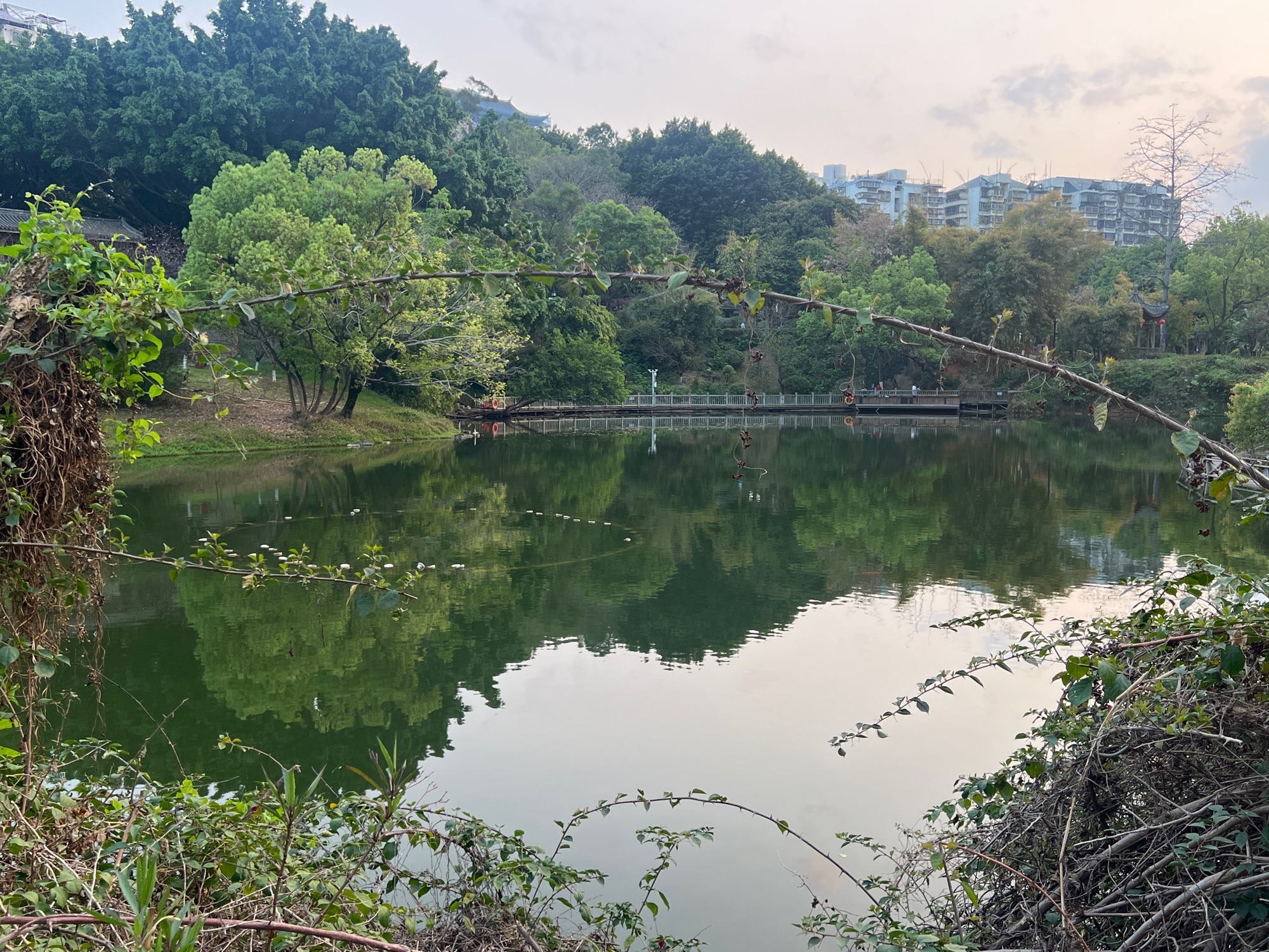 屏山公园
