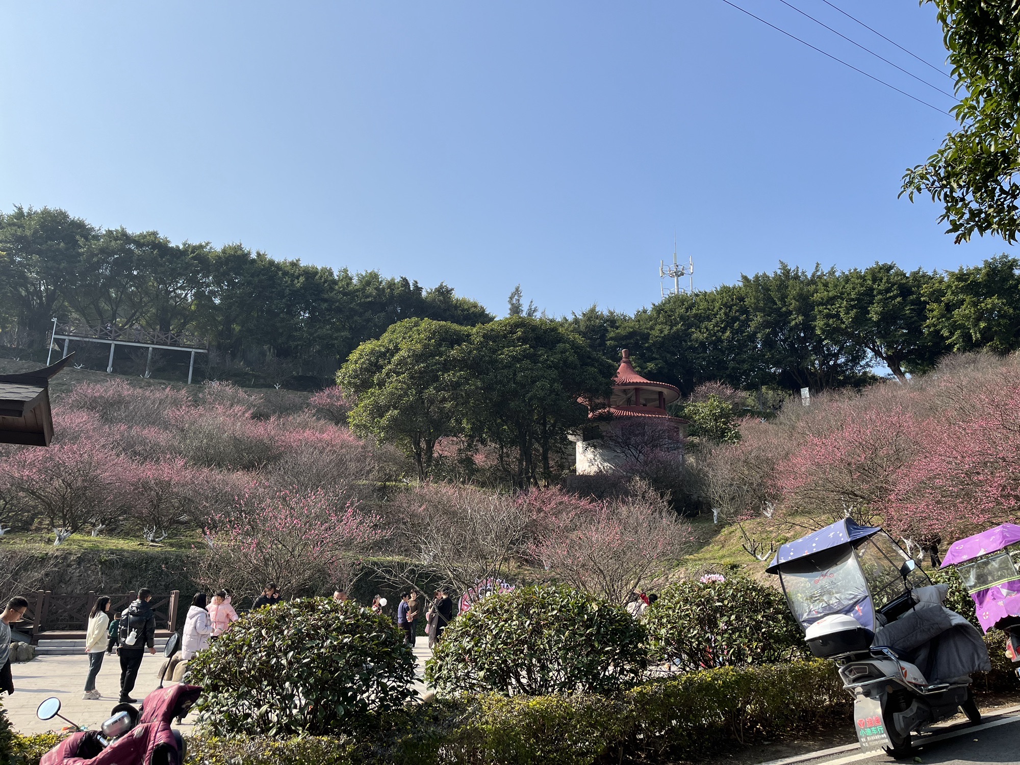 将军山公园