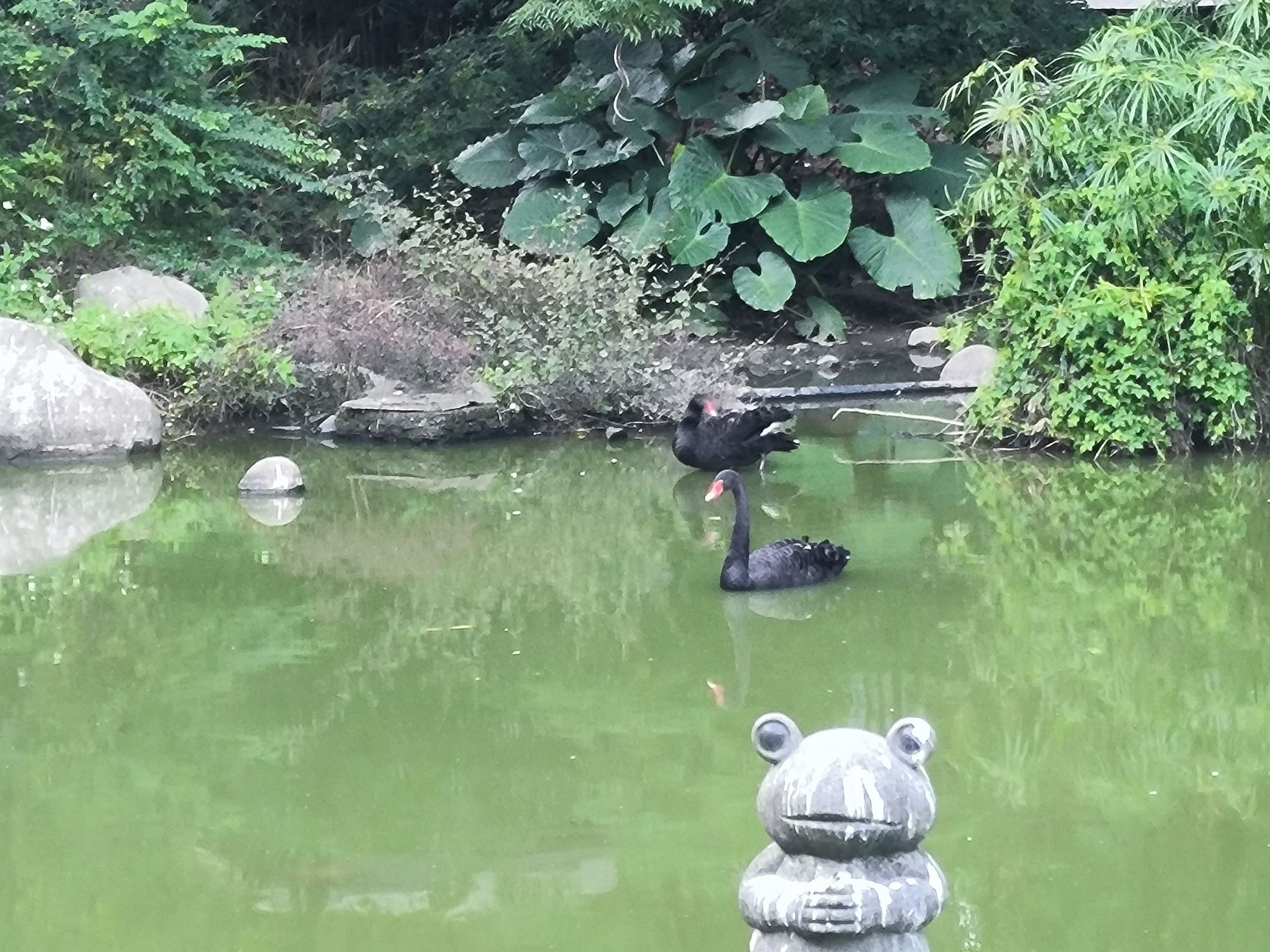 福州动物园旅行图片