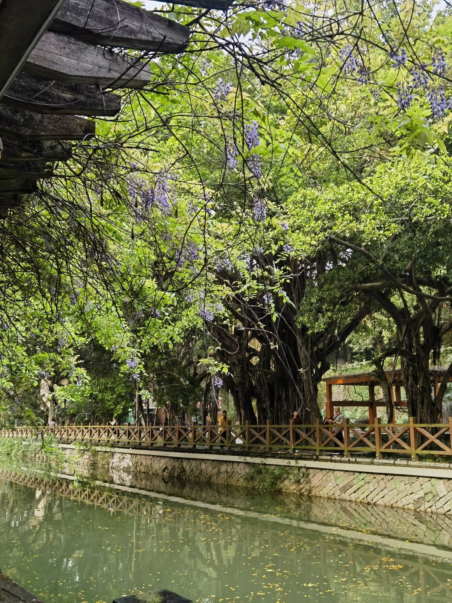 白马河公园