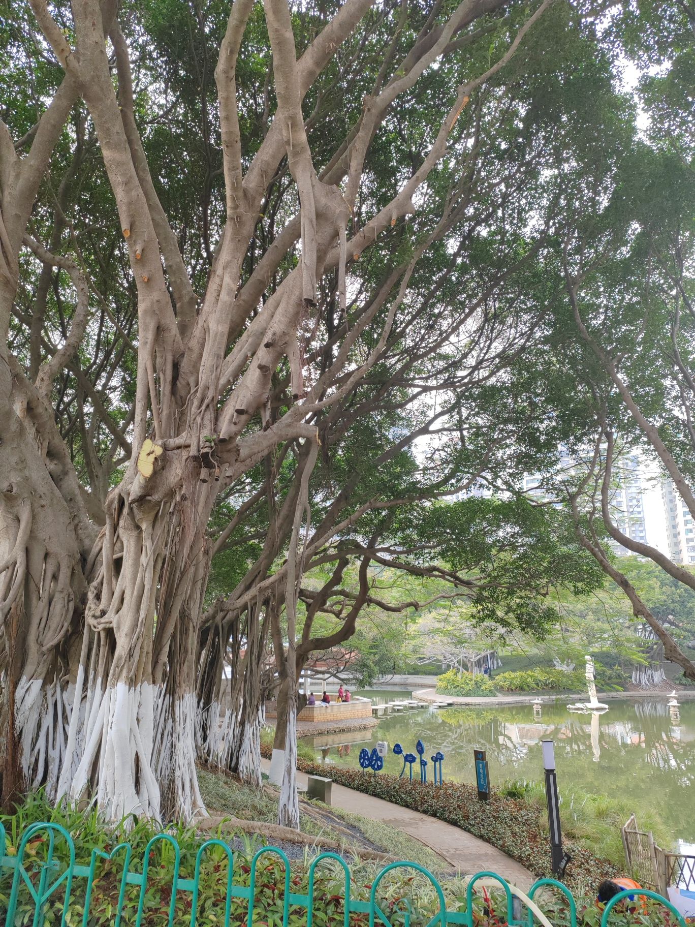 莲花公园