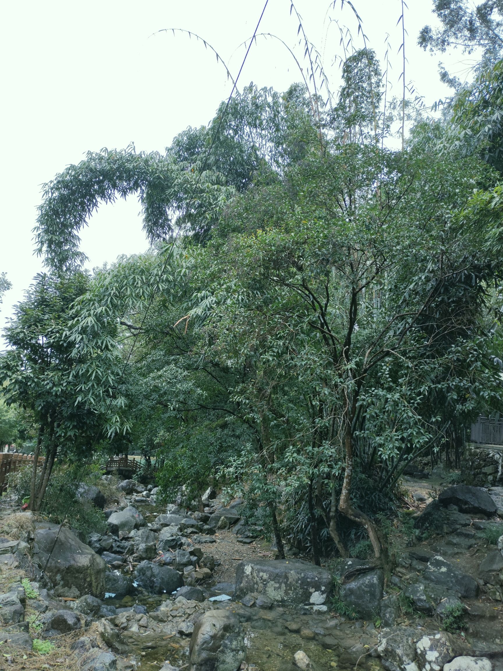 南漈山