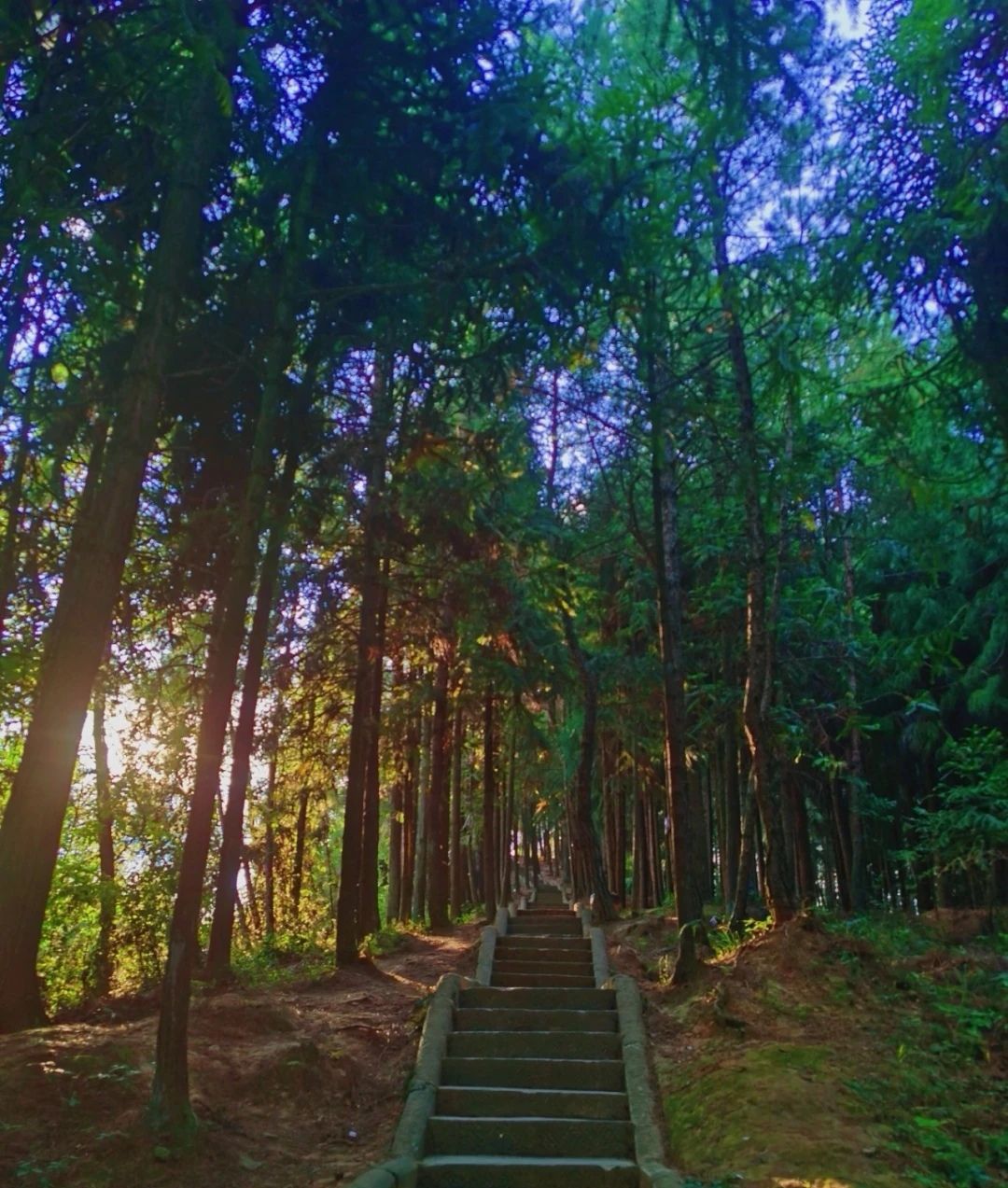 天马山风景区旅行图片
