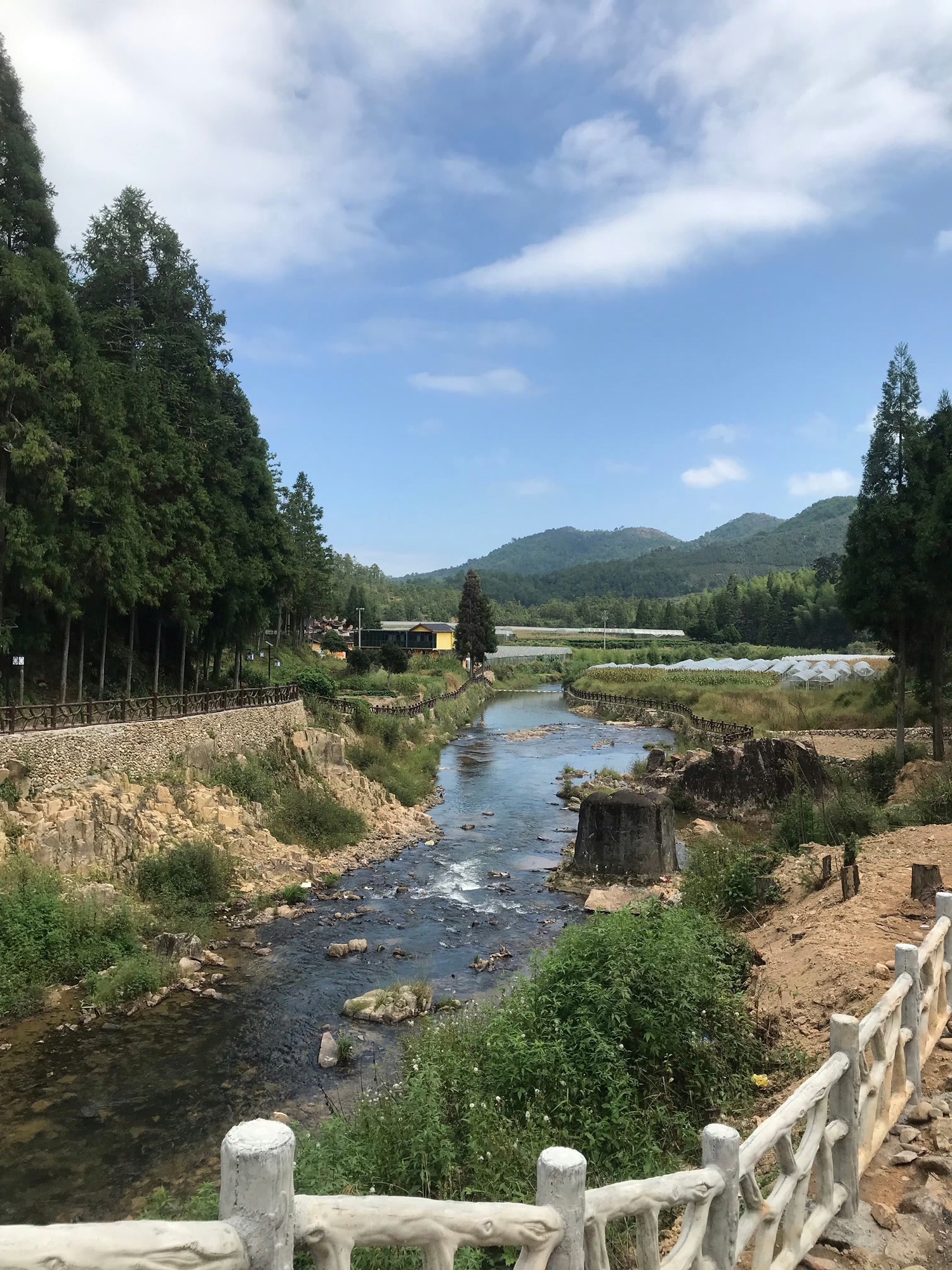 鲤鱼溪公园旅行图片