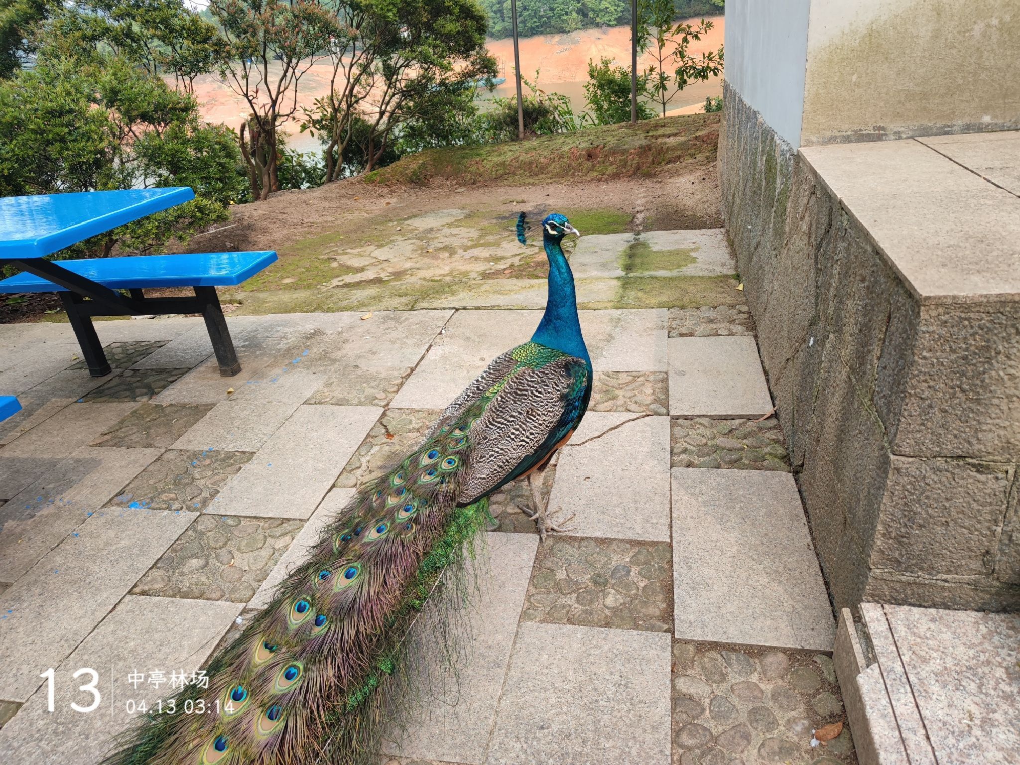 宁德市古田县翠屏湖景区旅行图片
