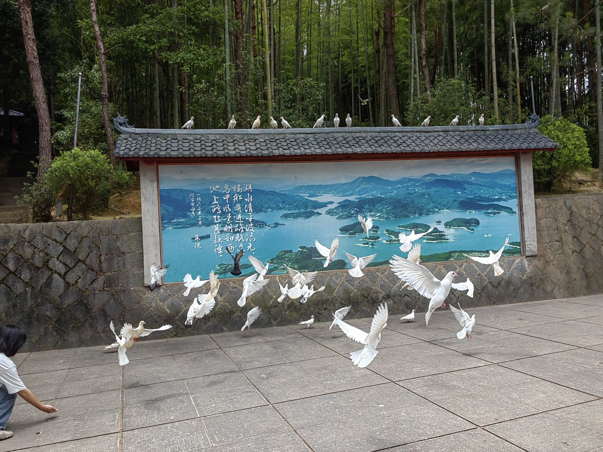 宁德市古田县翠屏湖景区旅行图片