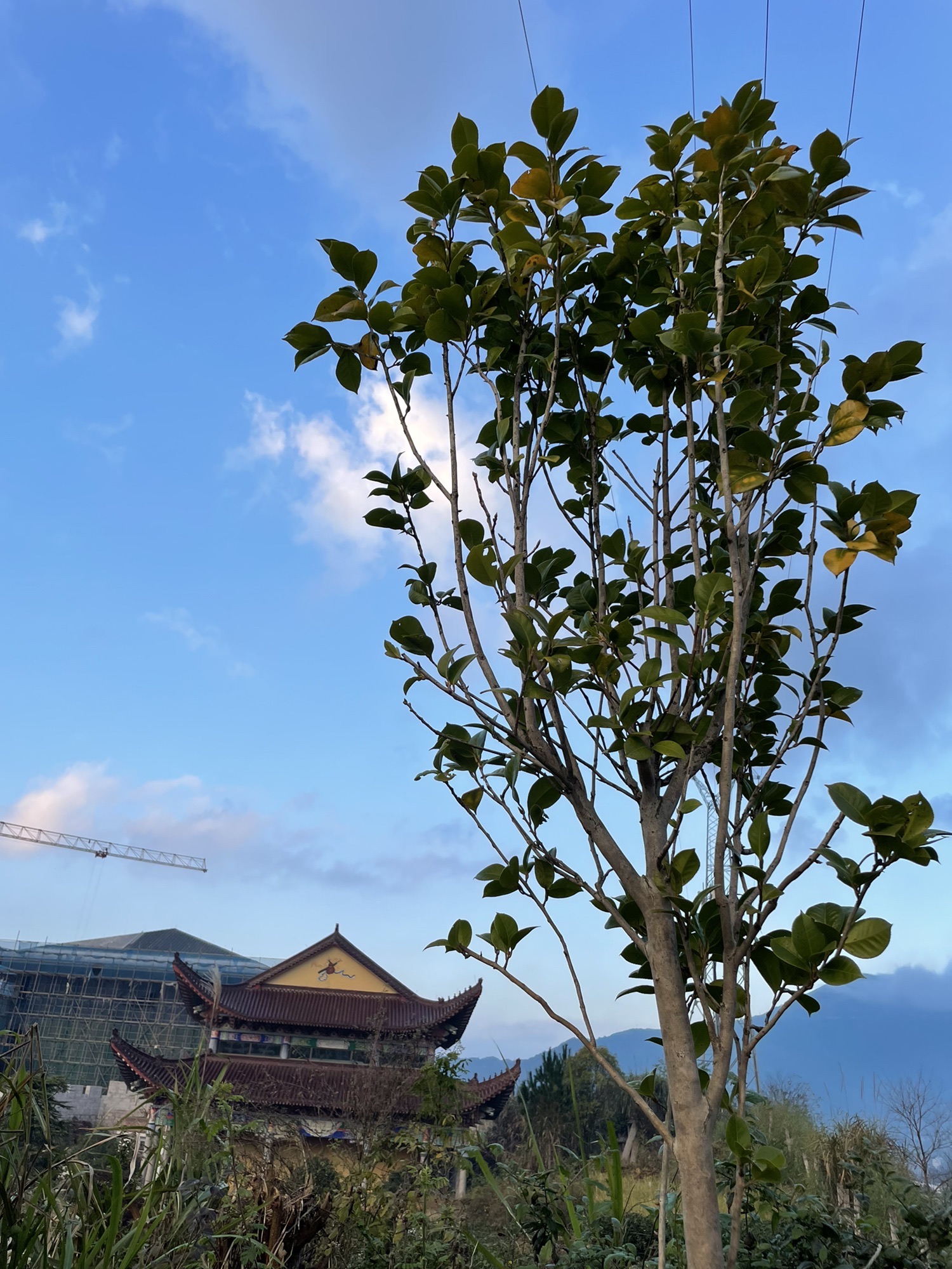 东狮山风景区旅行图片