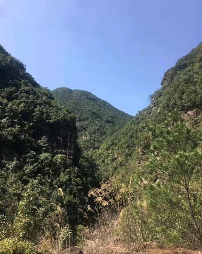 九龙井景区