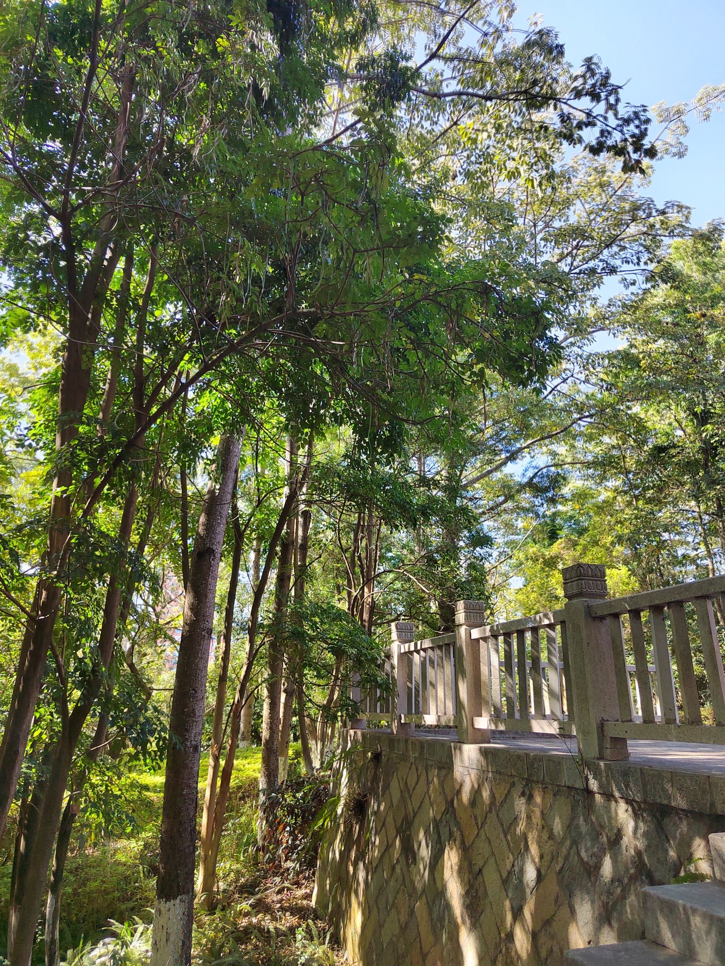 东岩山公园