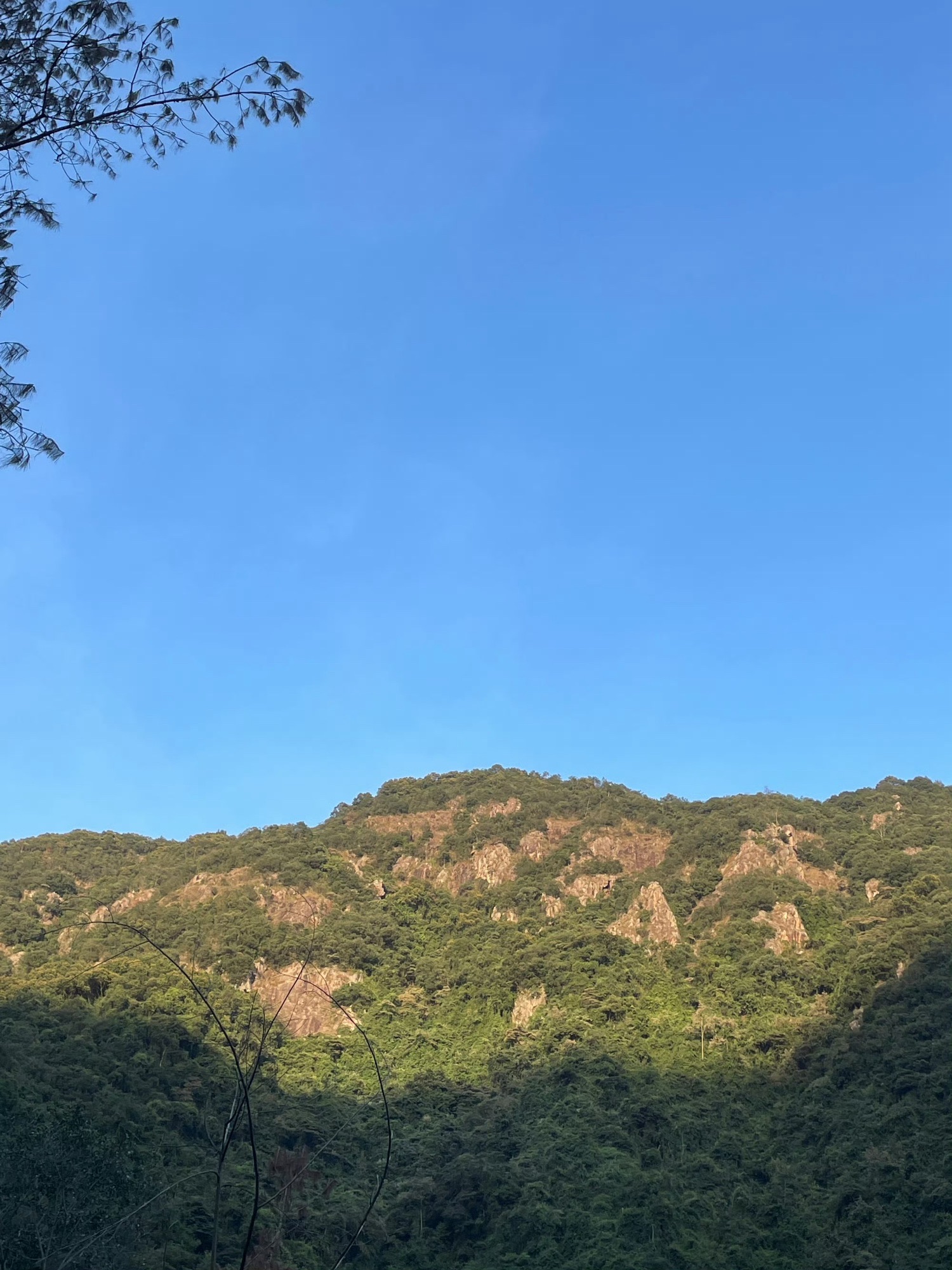九龙谷国家森林公园