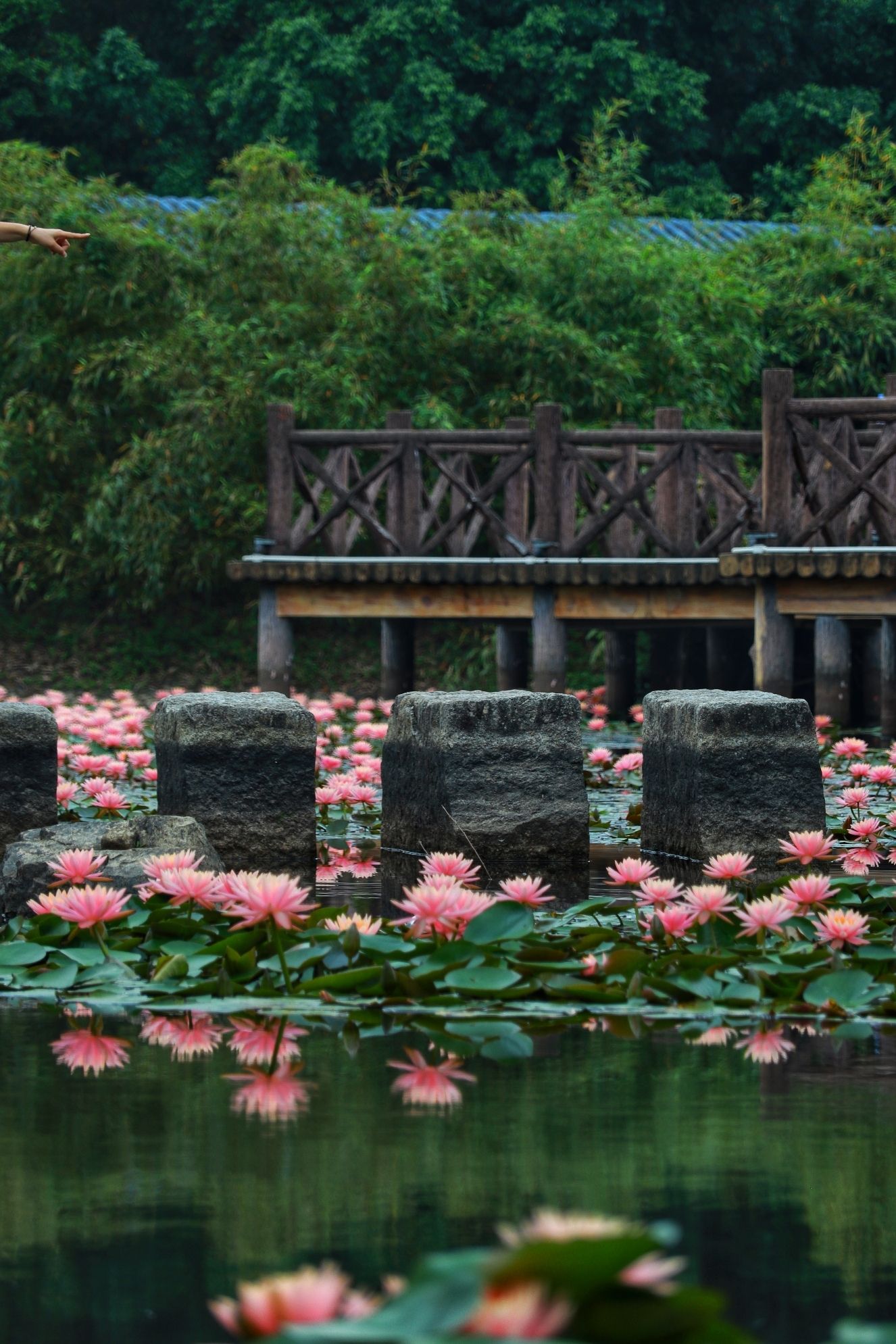 玉湖公园
