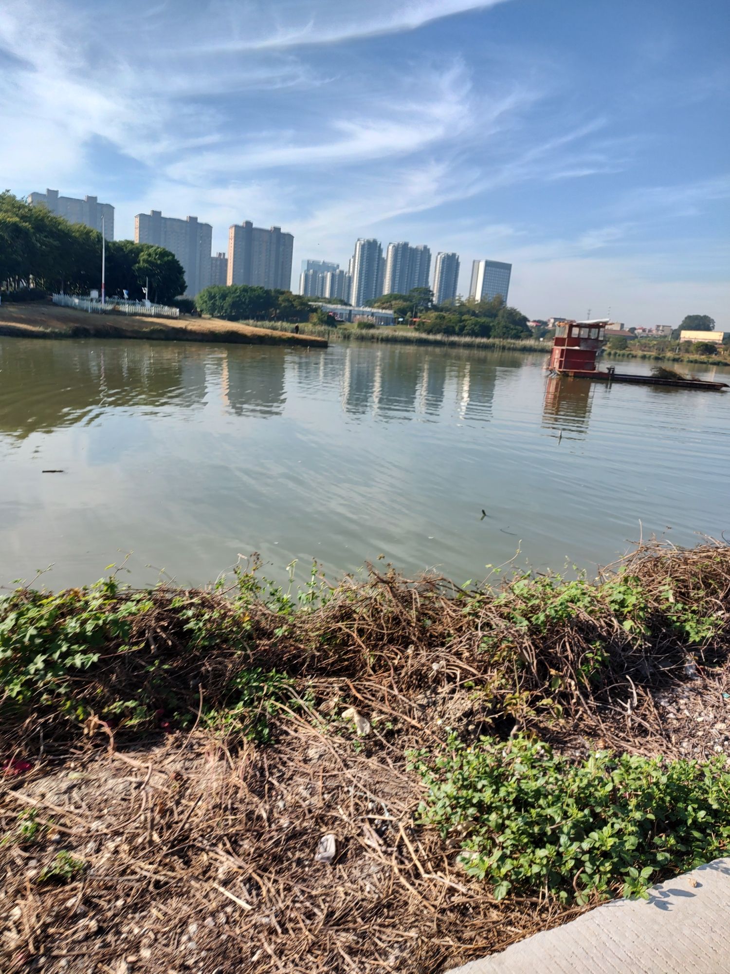 土海湿地公园旅行图片