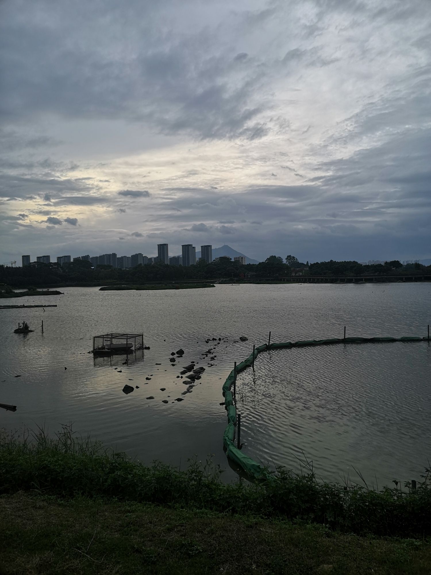 土海湿地公园旅行图片