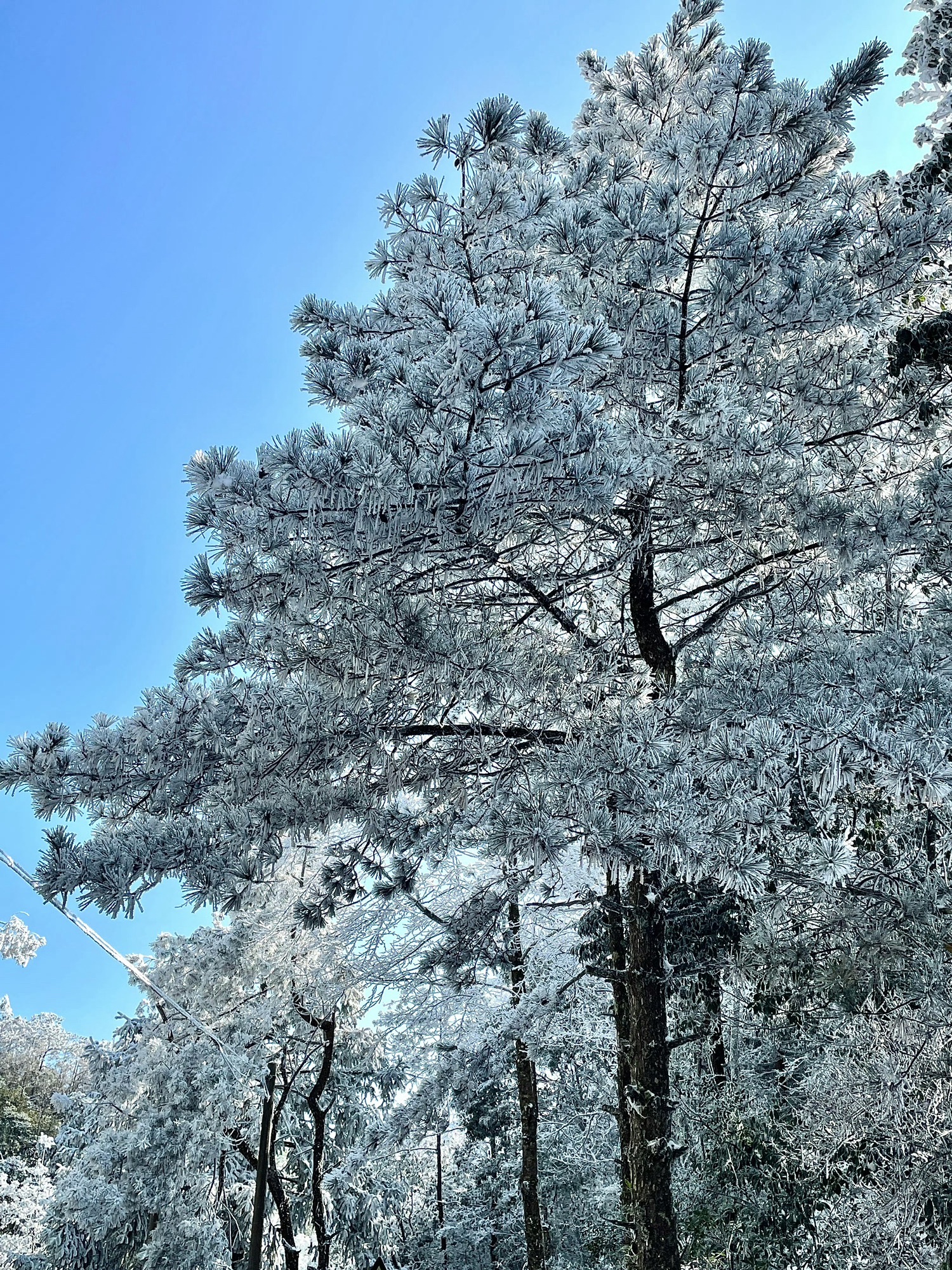 泉州德化九仙山风景区旅行图片