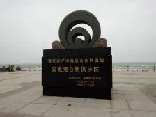 福建深沪湾海底古森林遗址