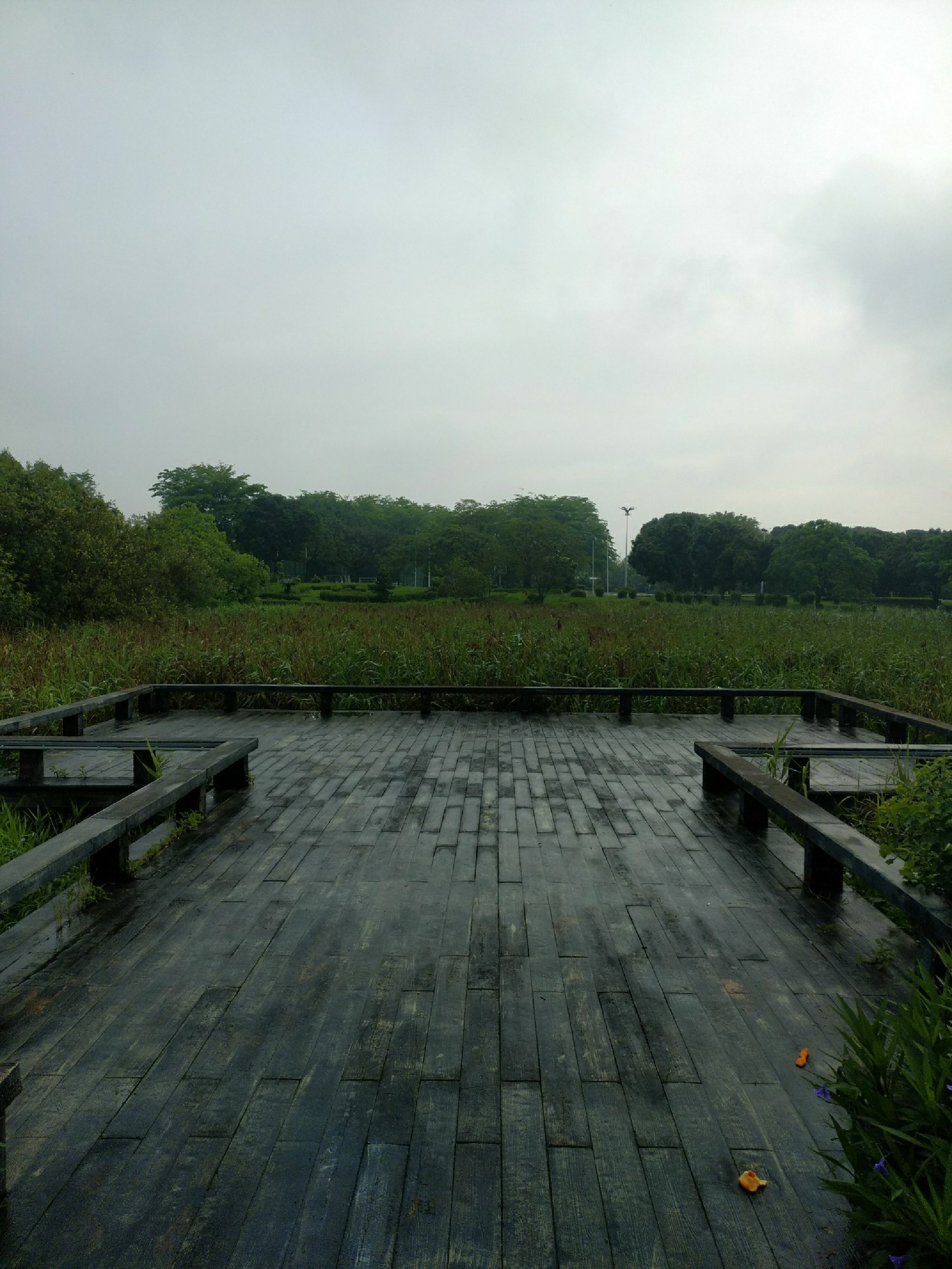 晋江南岸生态公园