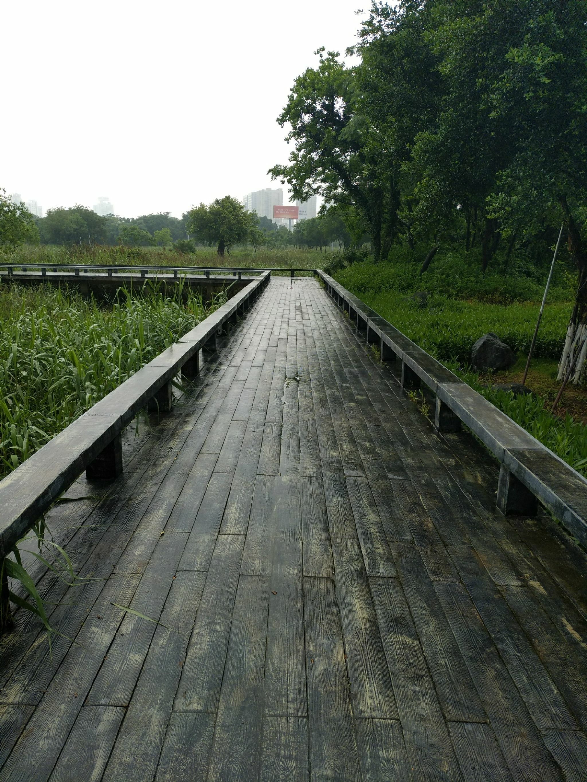 晋江南岸生态公园旅行图片