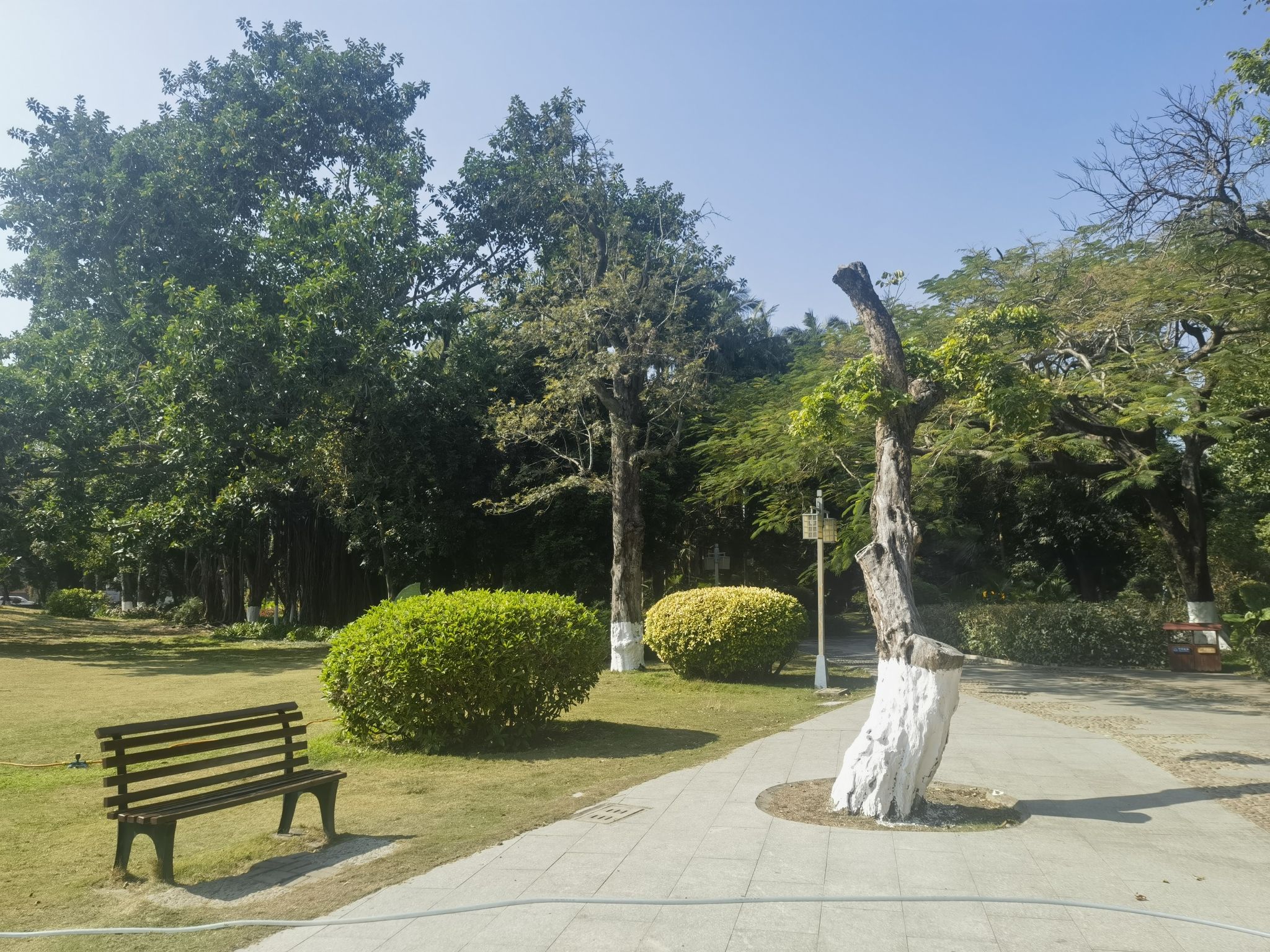 芳草园