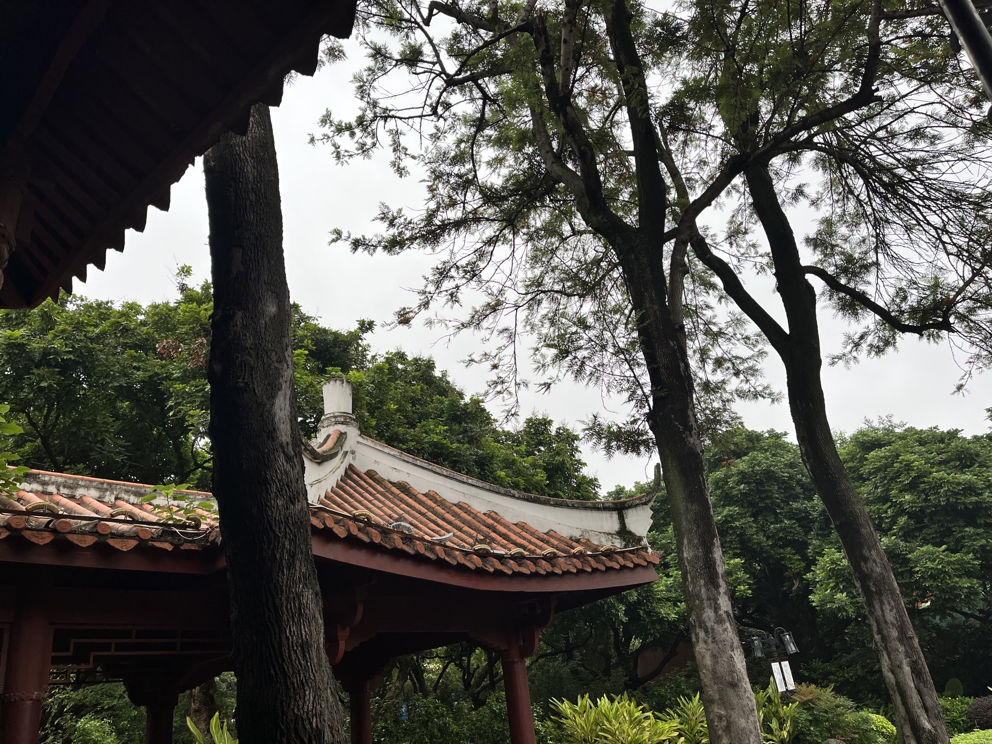 释雅山公园