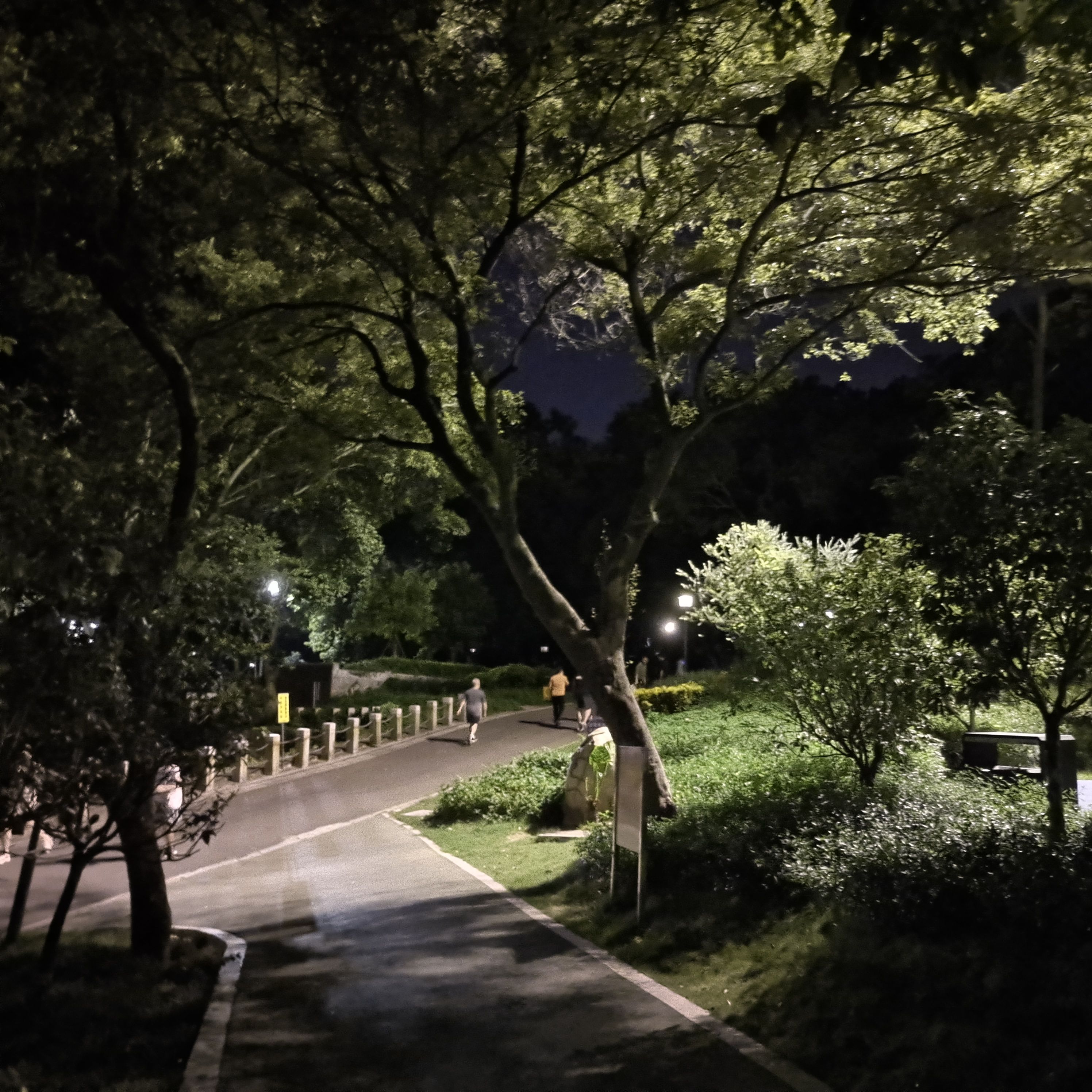敏月公园