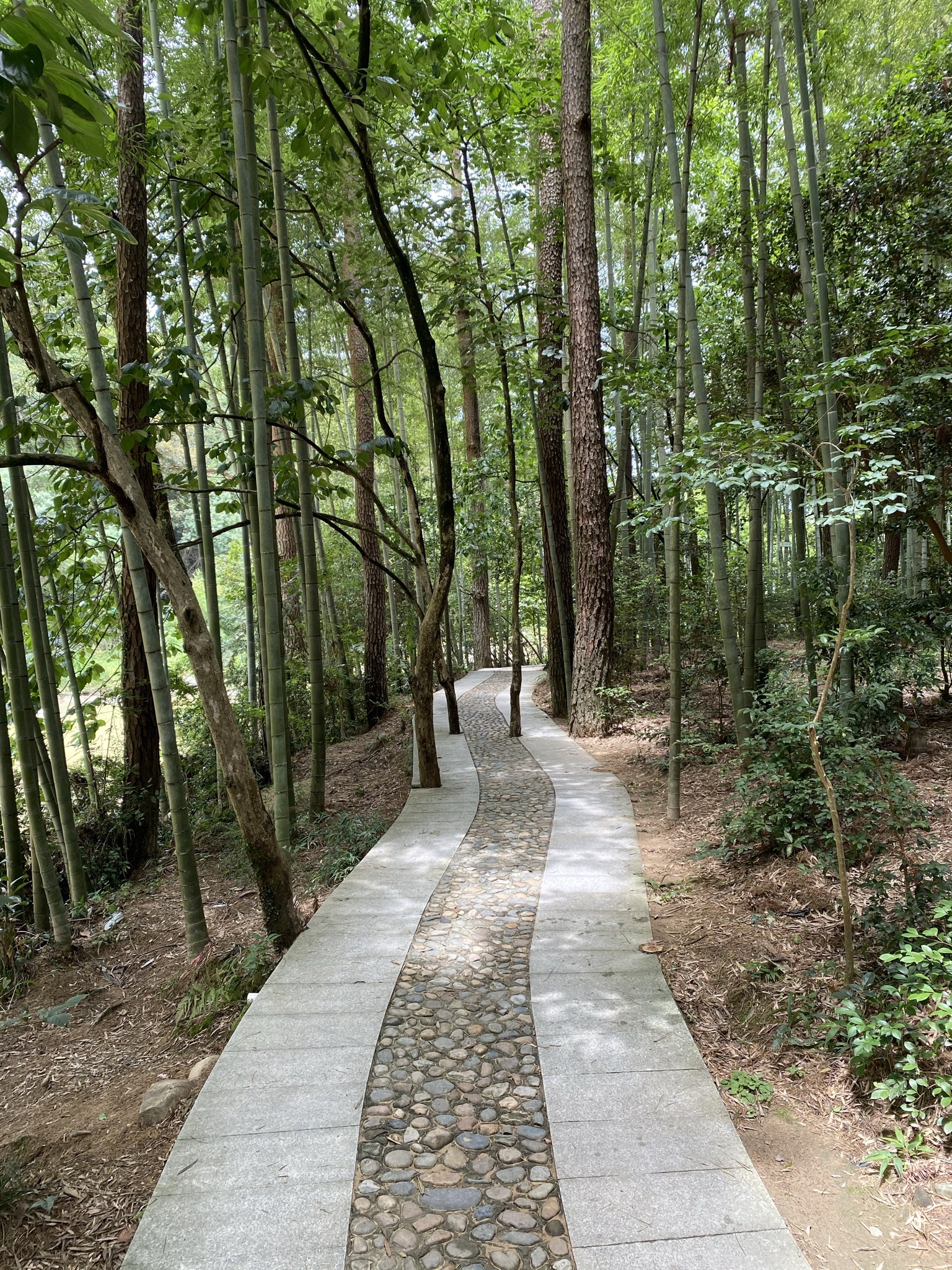 国宝云龙谷旅行图片