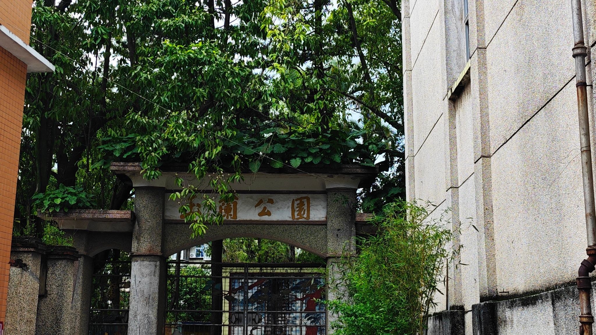 玉兰公园旅行图片