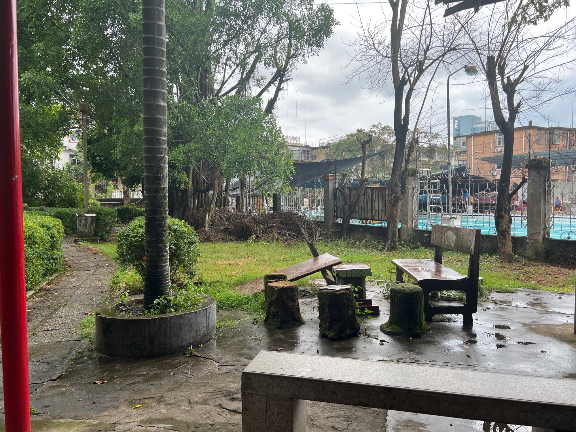 玉兰公园旅行图片