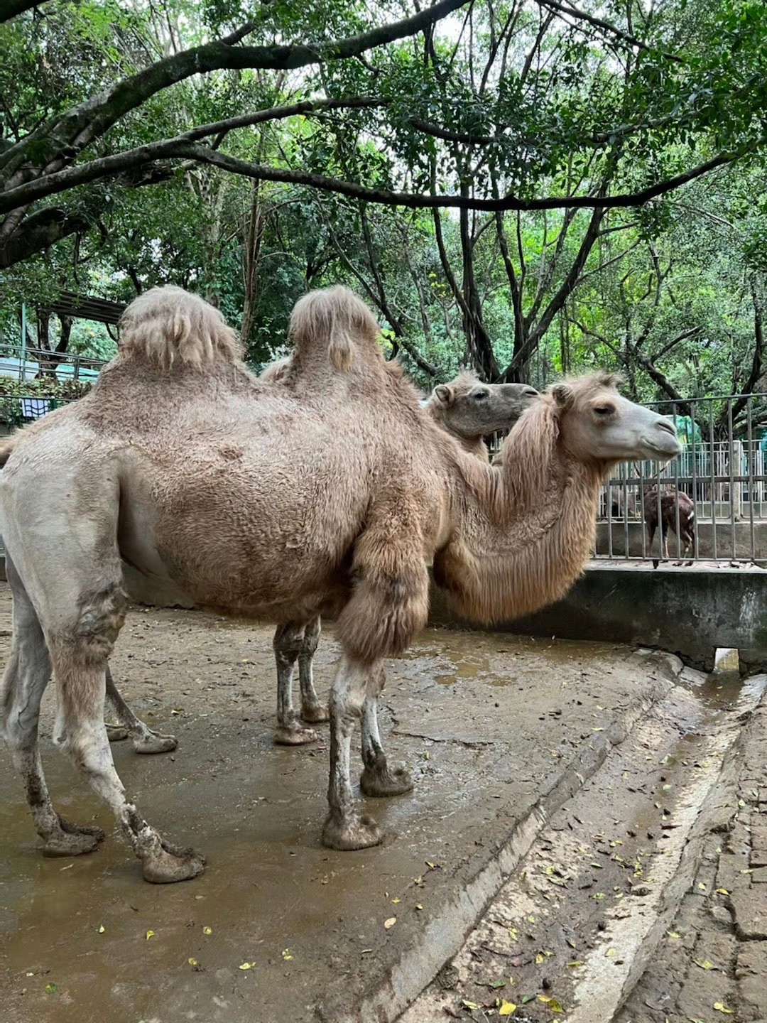 漳州市动物园