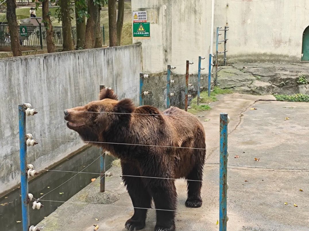 漳州市动物园旅行图片