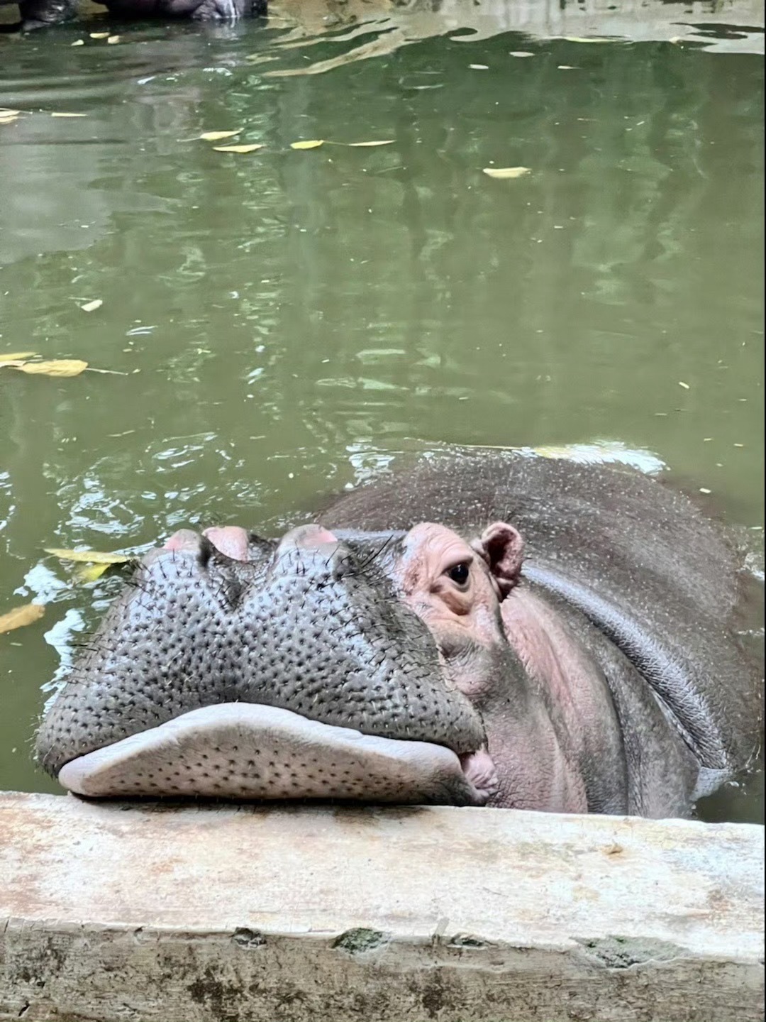 漳州市动物园旅行图片