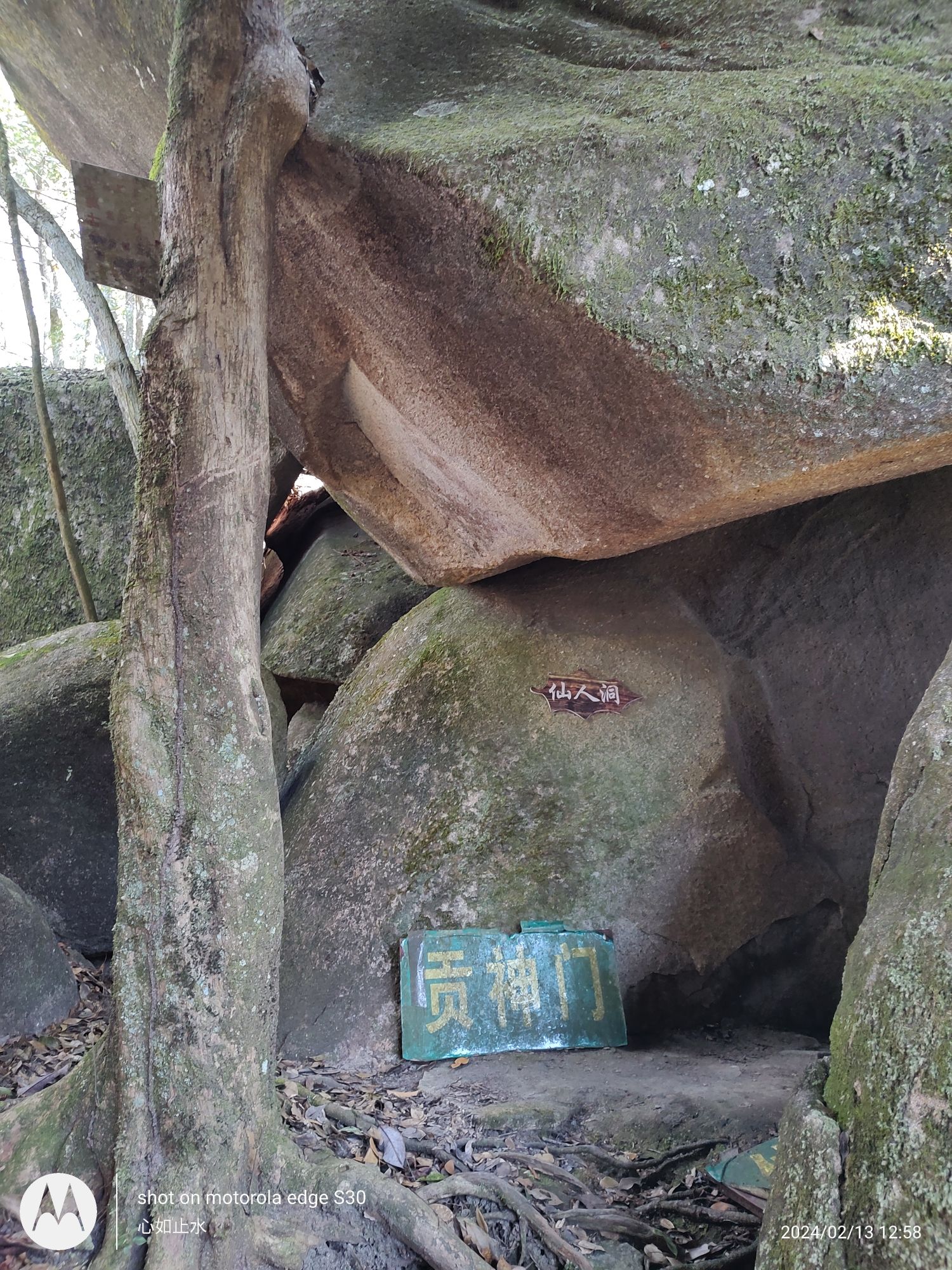 贡鸭山生态森林园旅行图片