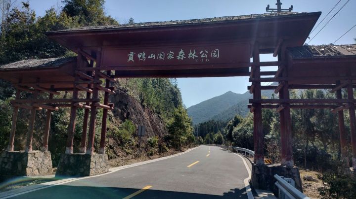 贡鸭山生态森林园旅行图片